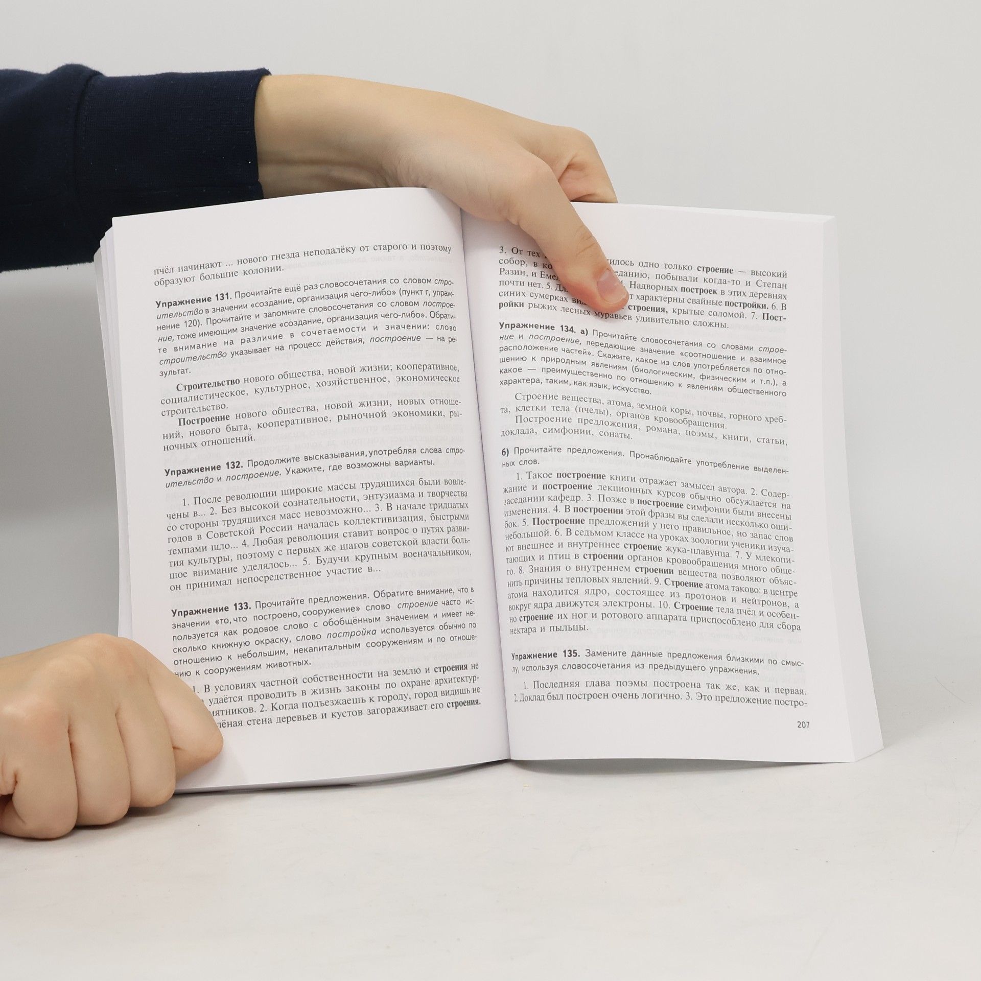 Pod red Amiantova E I Russian Vocabulary