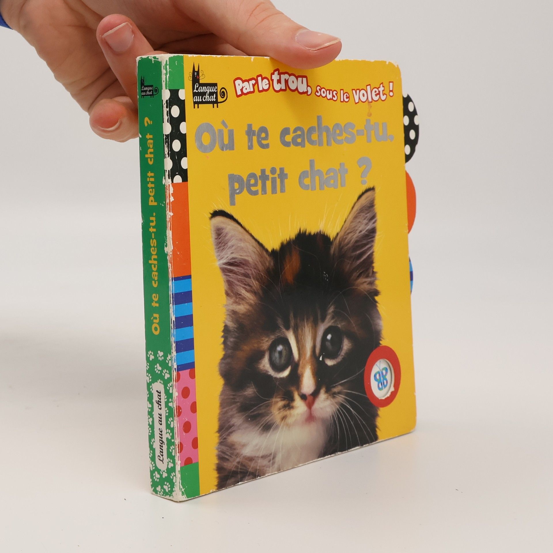 Jane Horne Où te caches-tu, petit chat ?