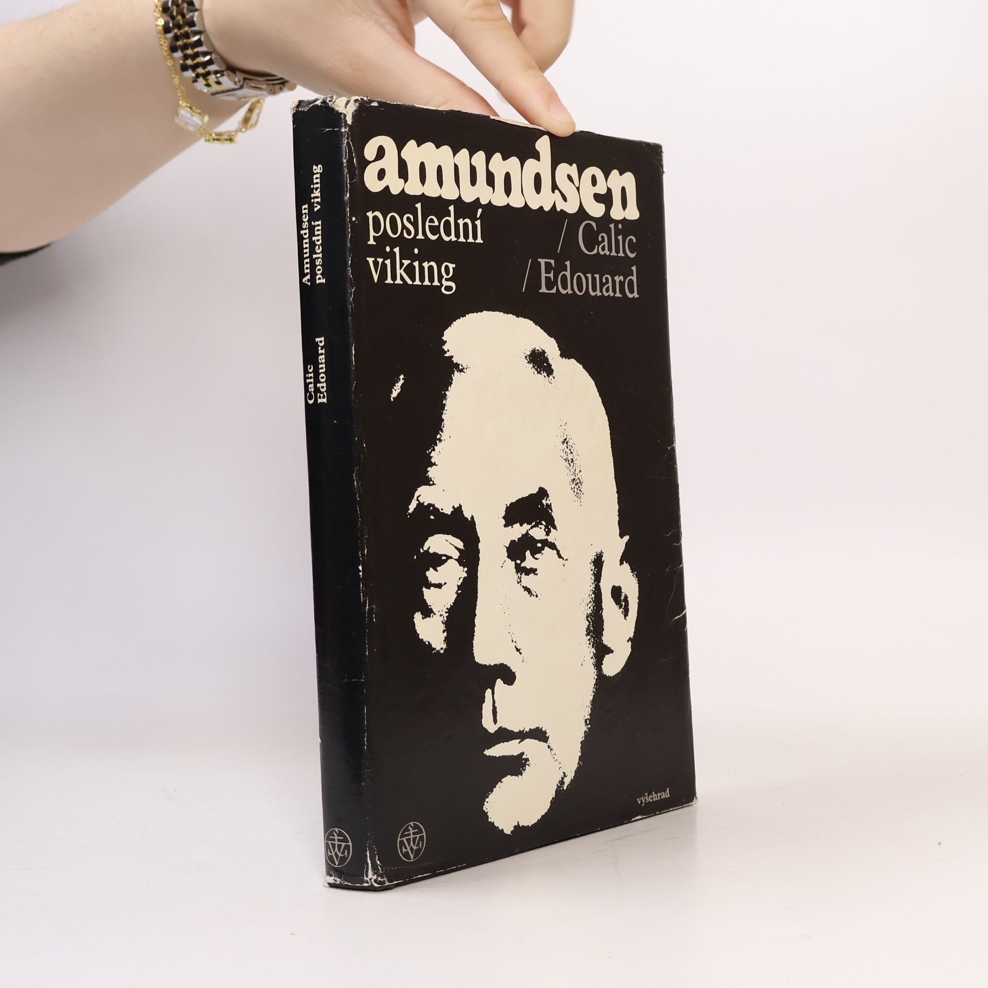 Amundsen. Poslední viking