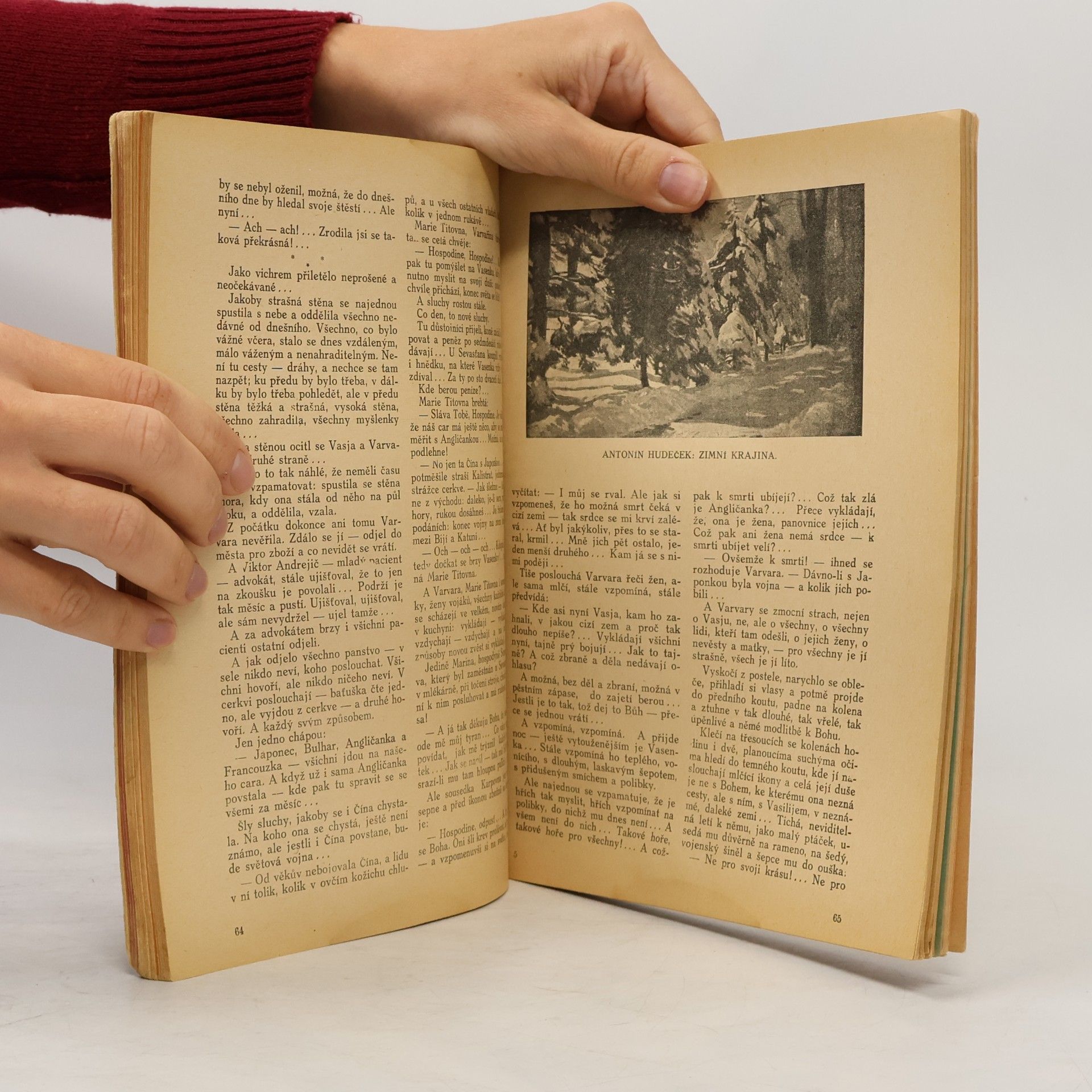 kolektiv KALENDÁŘ ČS. LEGIONÁŘE 1923