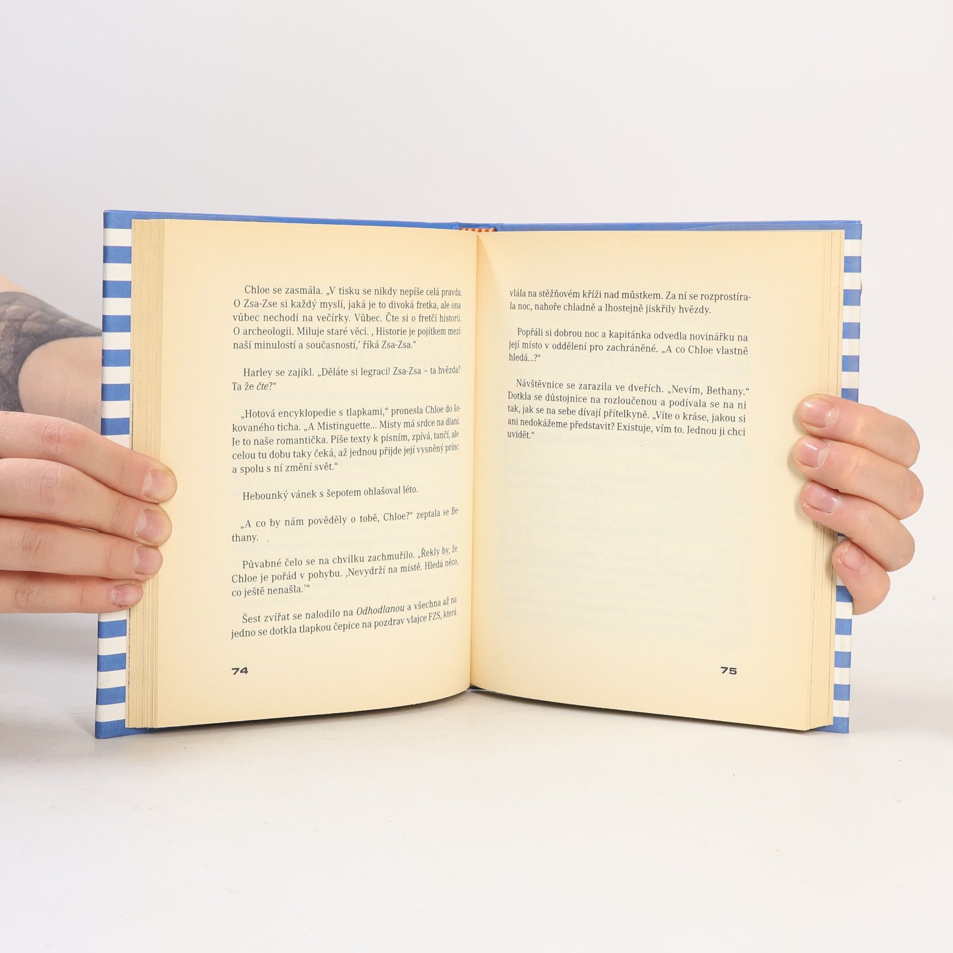 Richard David Bach Fretky záchranářky na moři