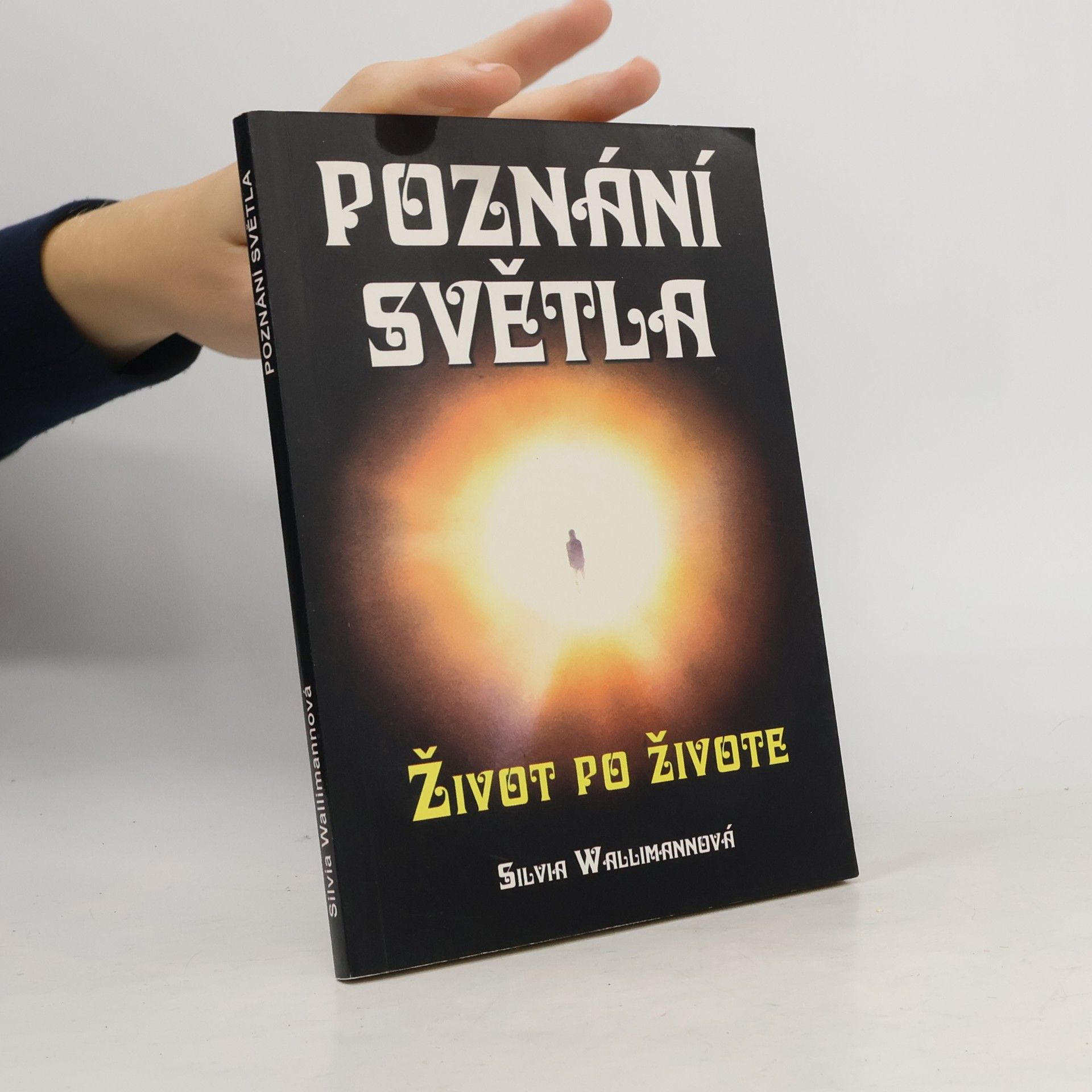 Silvia Wallimann Poznání světla. Život po životě