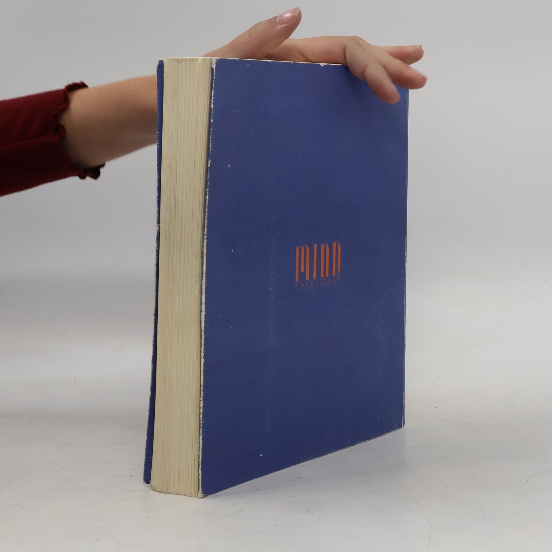Paolo A. Ruggeri I nuovi condottieri