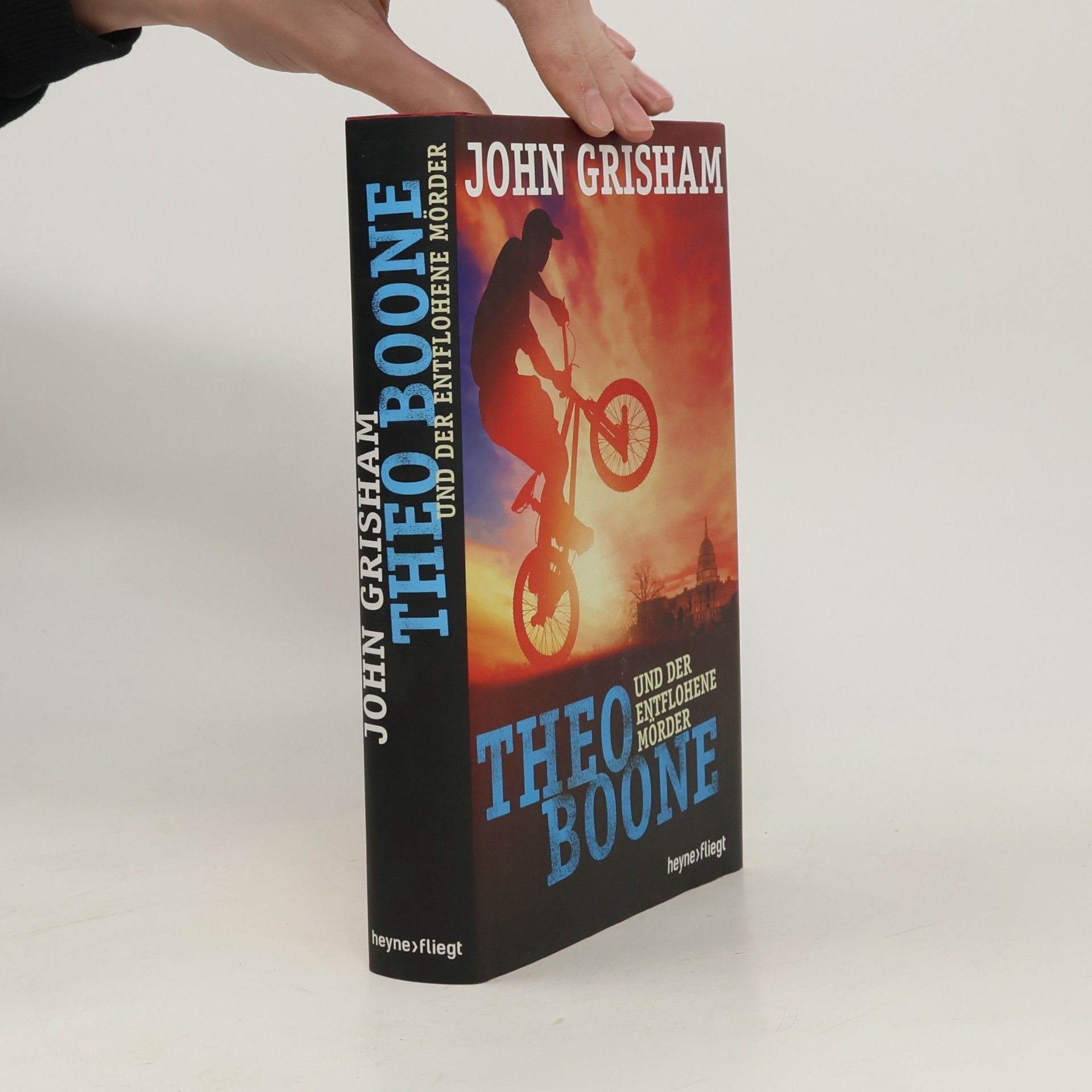 John Grisham Theo Boone - der entflohene Mörder