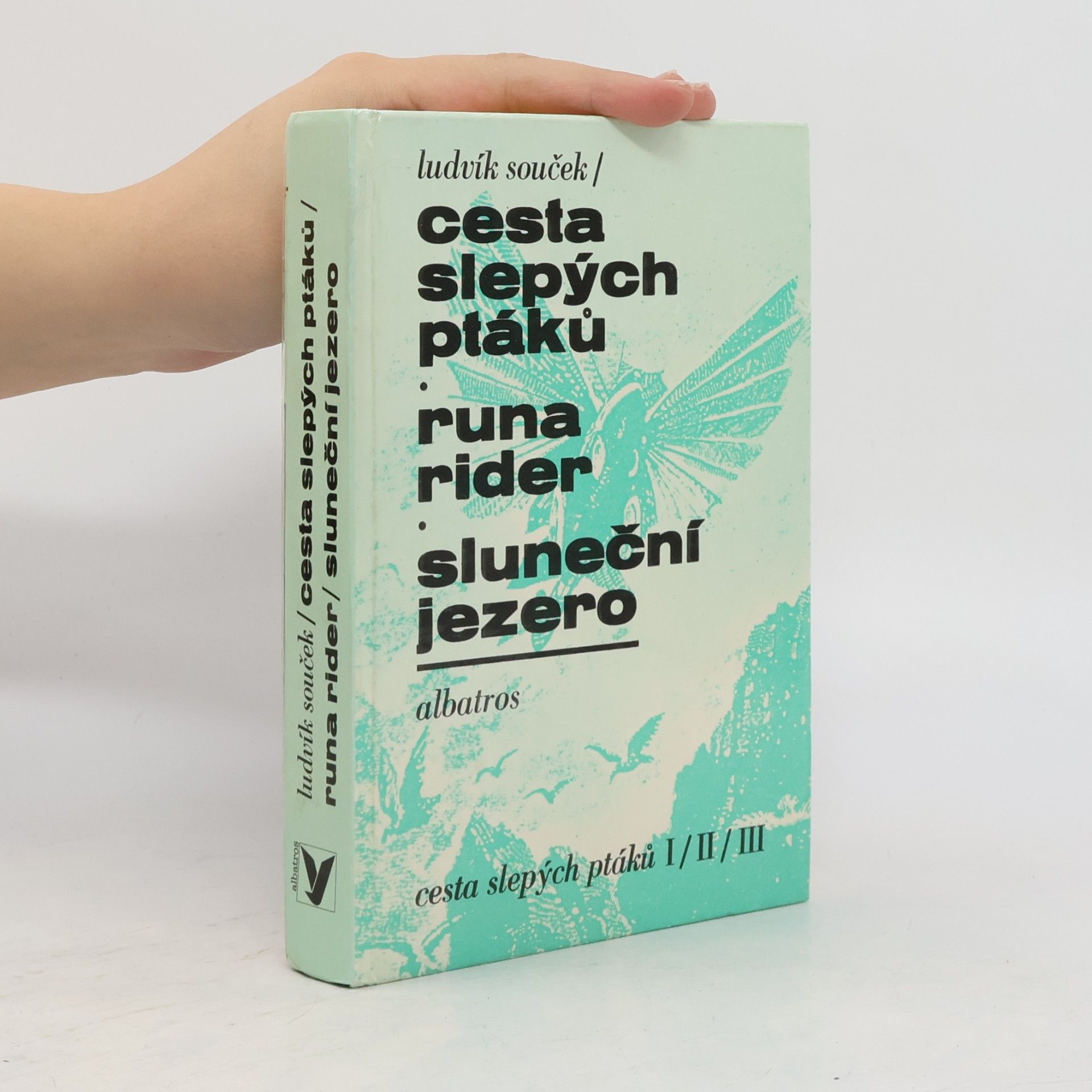 cesta slepých ptáků I/II/III