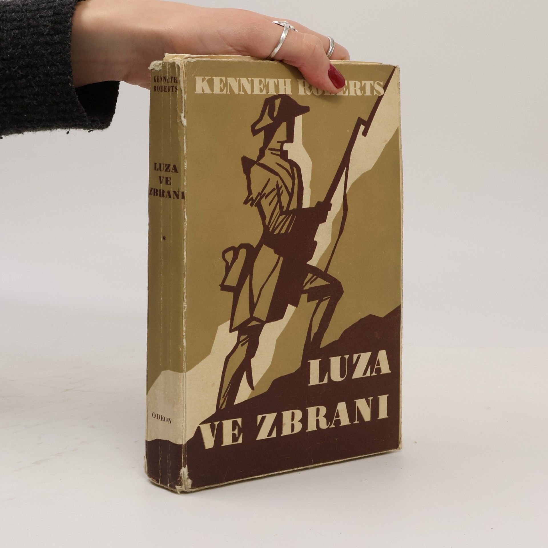 Luza ve zbrani