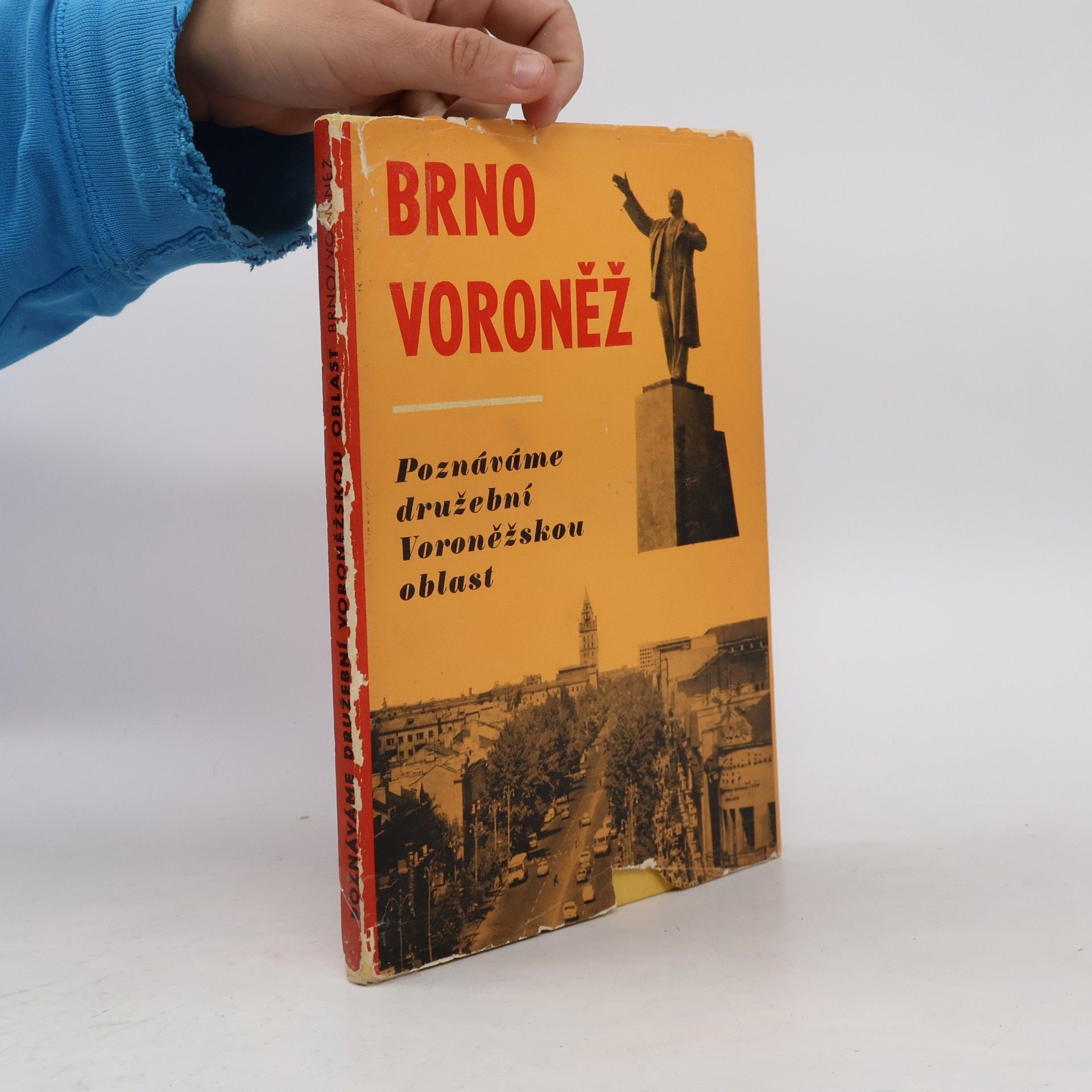 Kolektiv autorů Brno. Voroněž