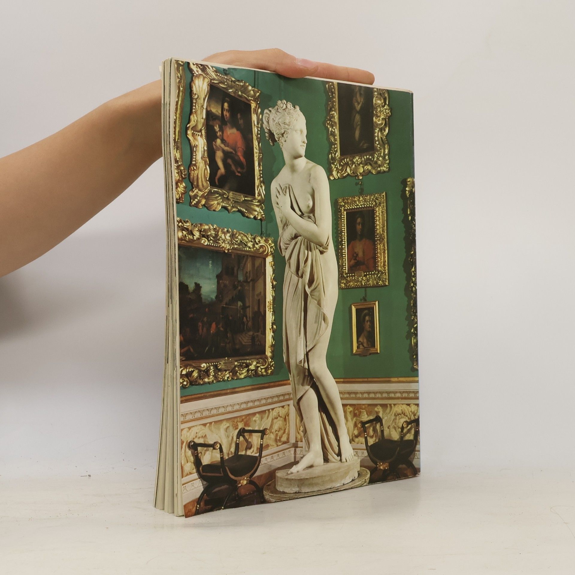 Marco Chiarini Palazzo Pitti