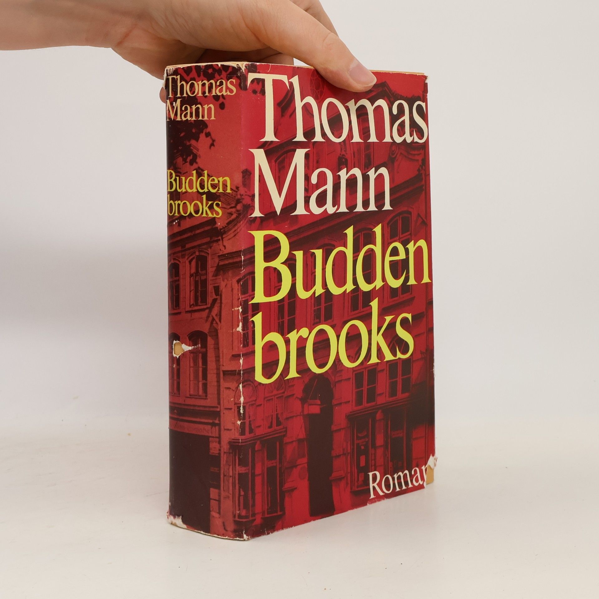Thomas Mann Buddenbrooks