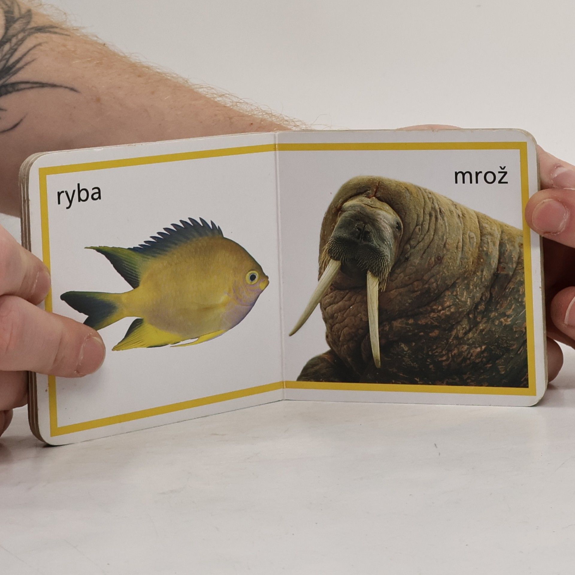 Autorenkollektiv Vo vode