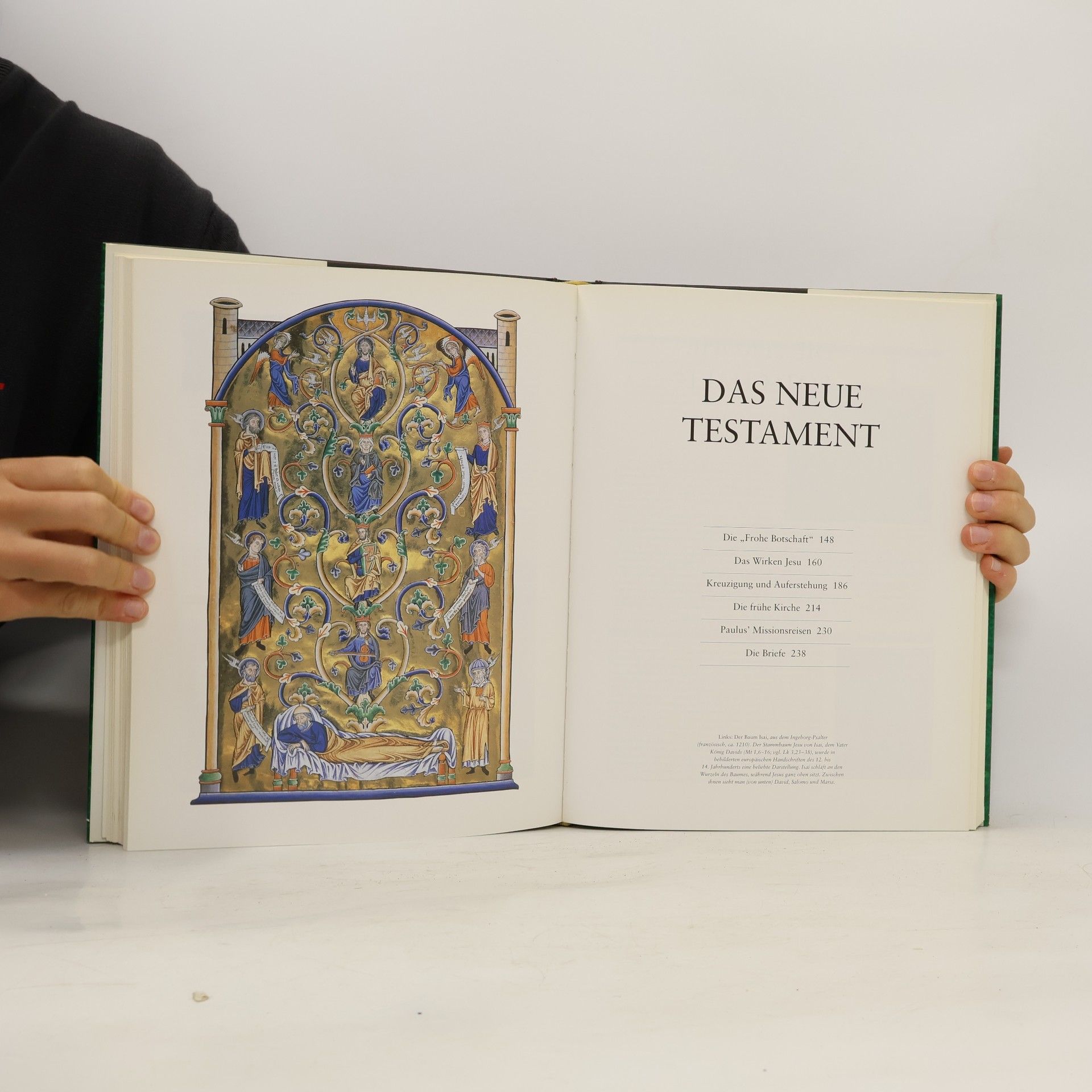 Joshua R. Porter Das grosse Buch der Bibel