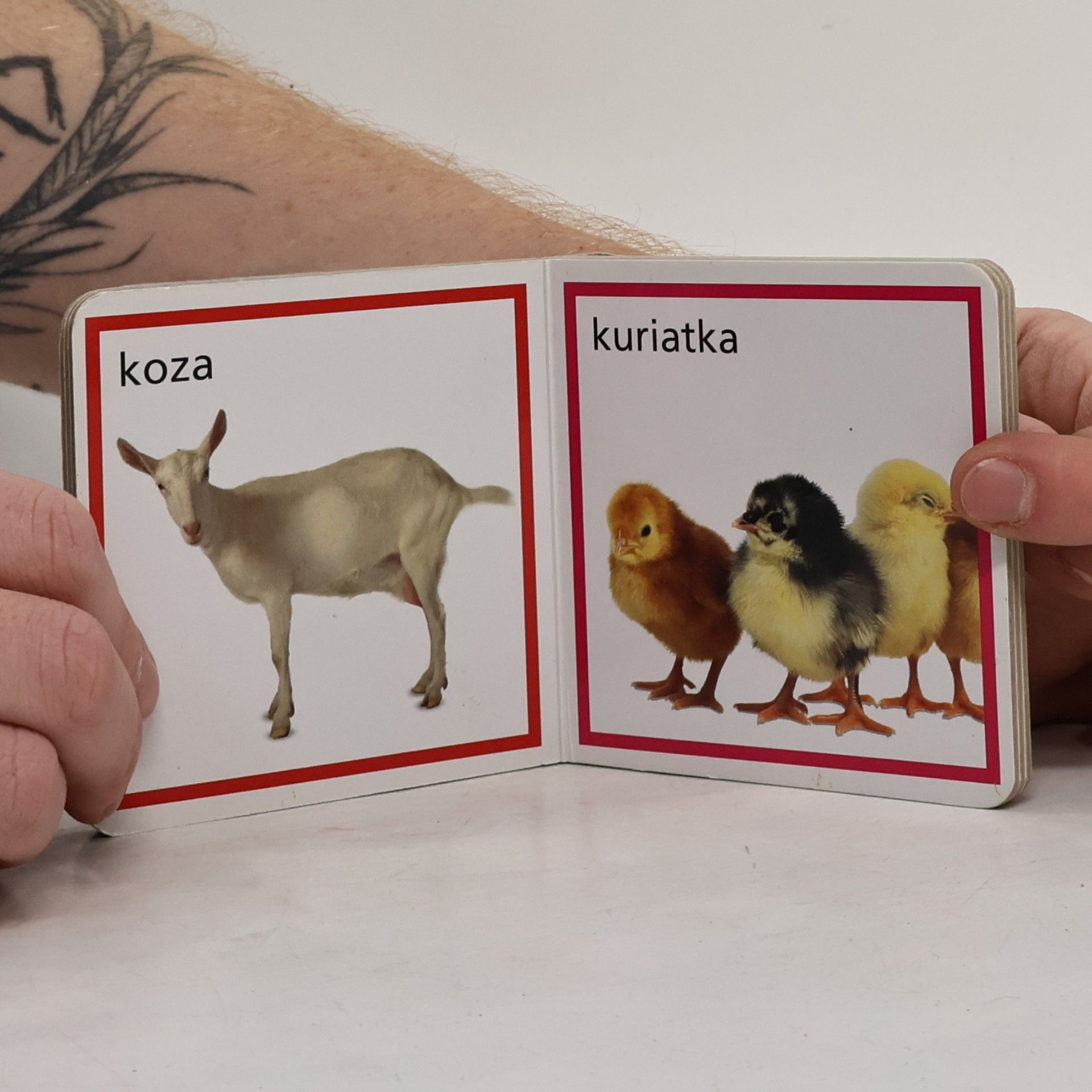 Kolektiv autorů Na farme