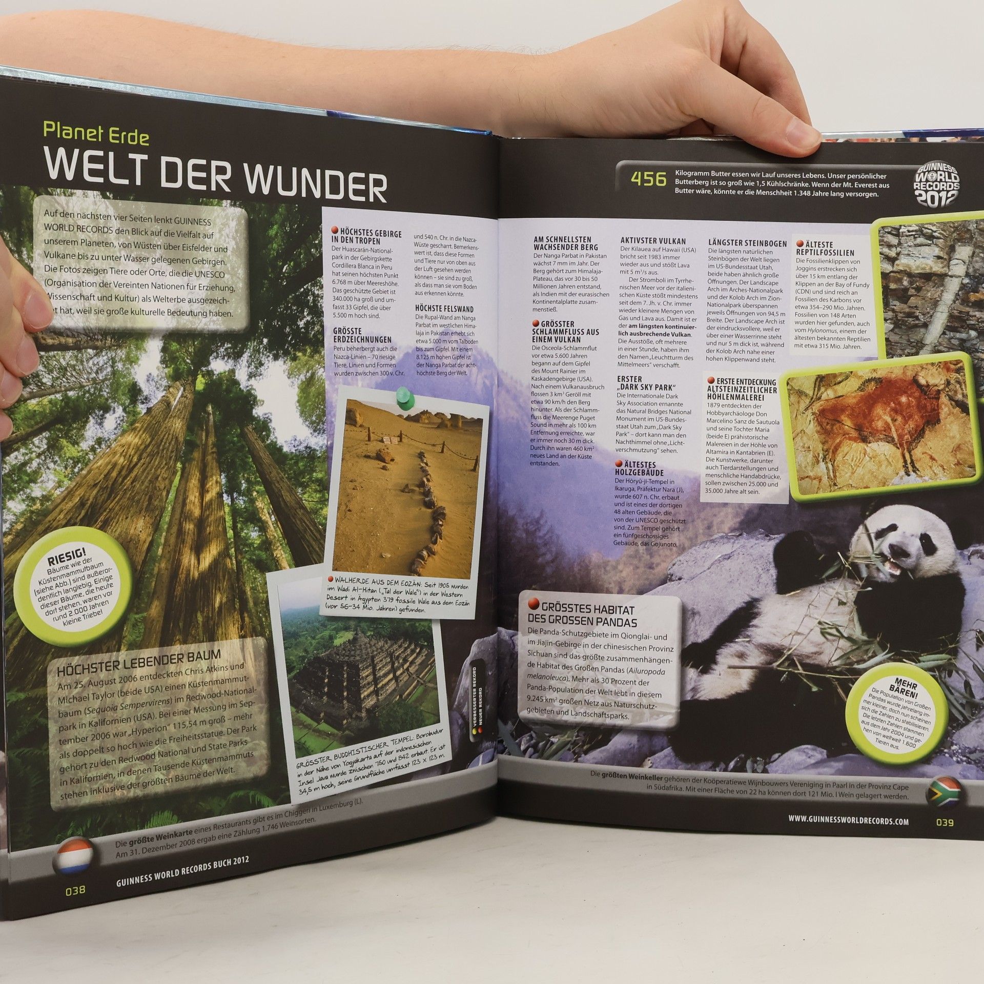 Autorenkollektiv Guinness World Records 2012