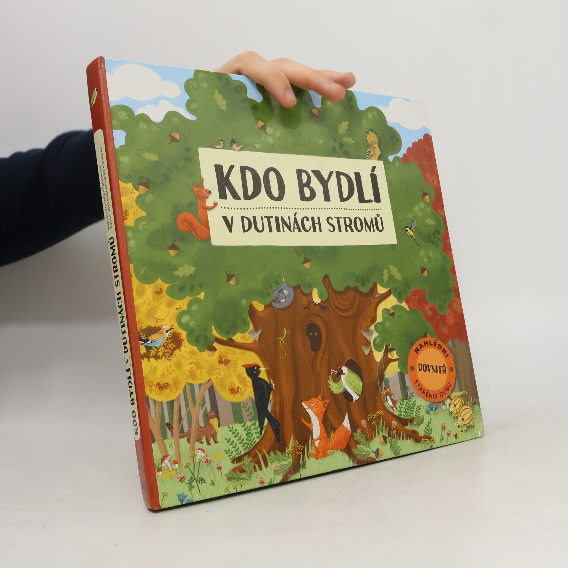 Ekaterina Kolesnikova Kdo bydlí v dutinách stromů
