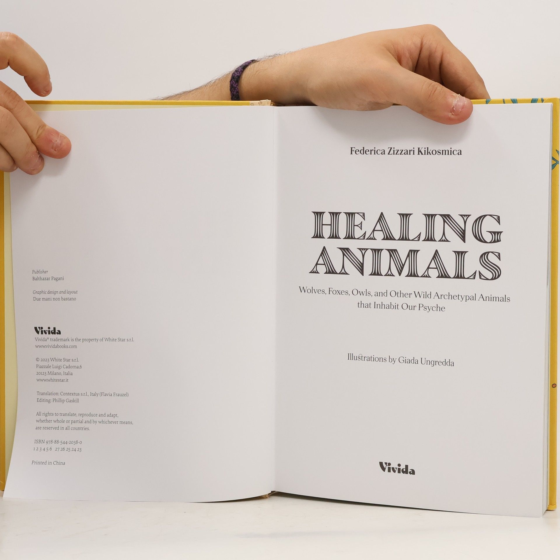 Federica Zizzari Kikosmica Healing Animals