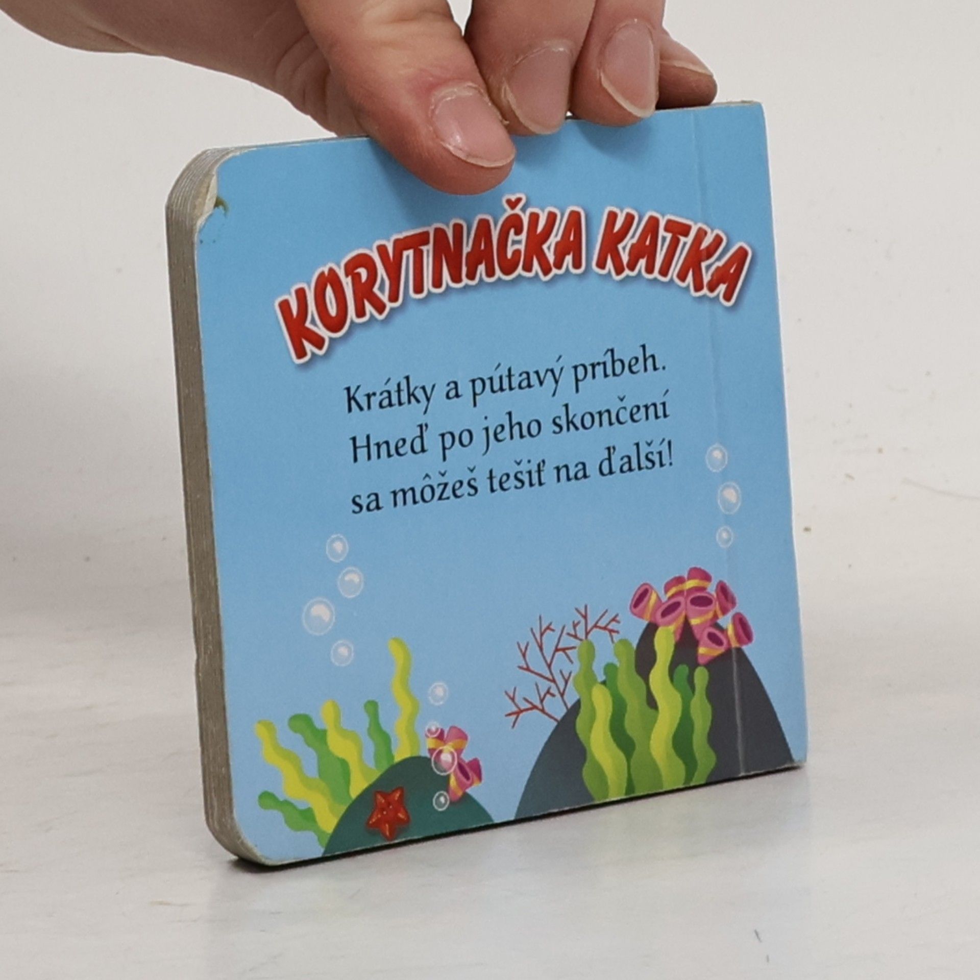 kolektiv Korytnačka Katka