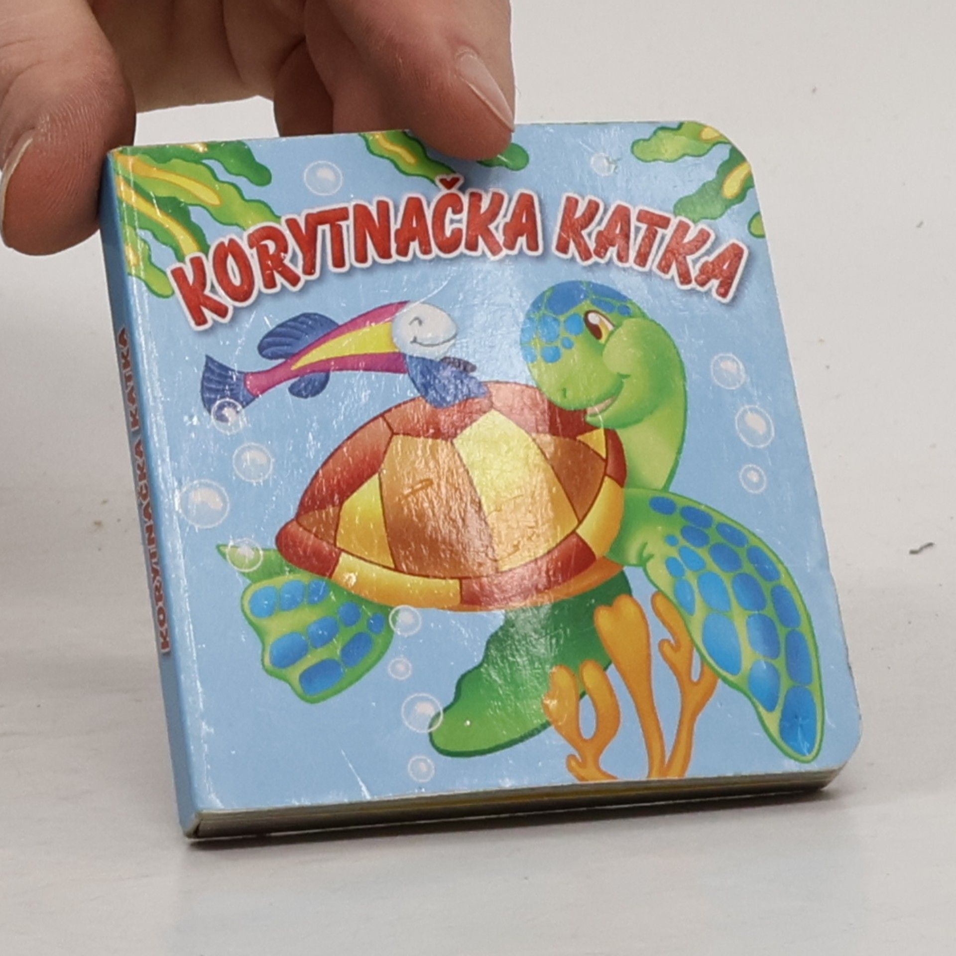 kolektiv Korytnačka Katka