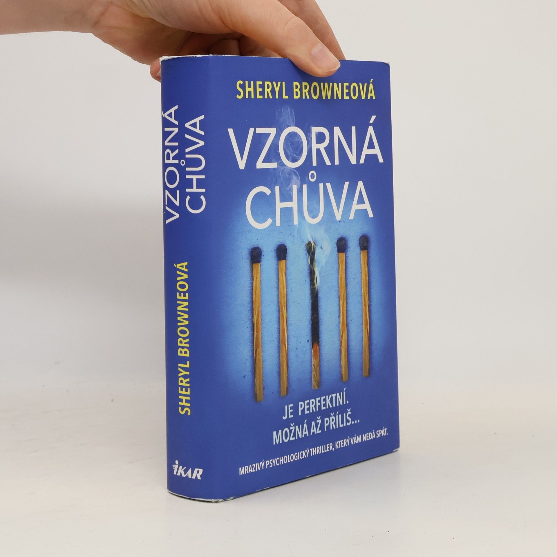 Sheryl Browne Vzorná chůva