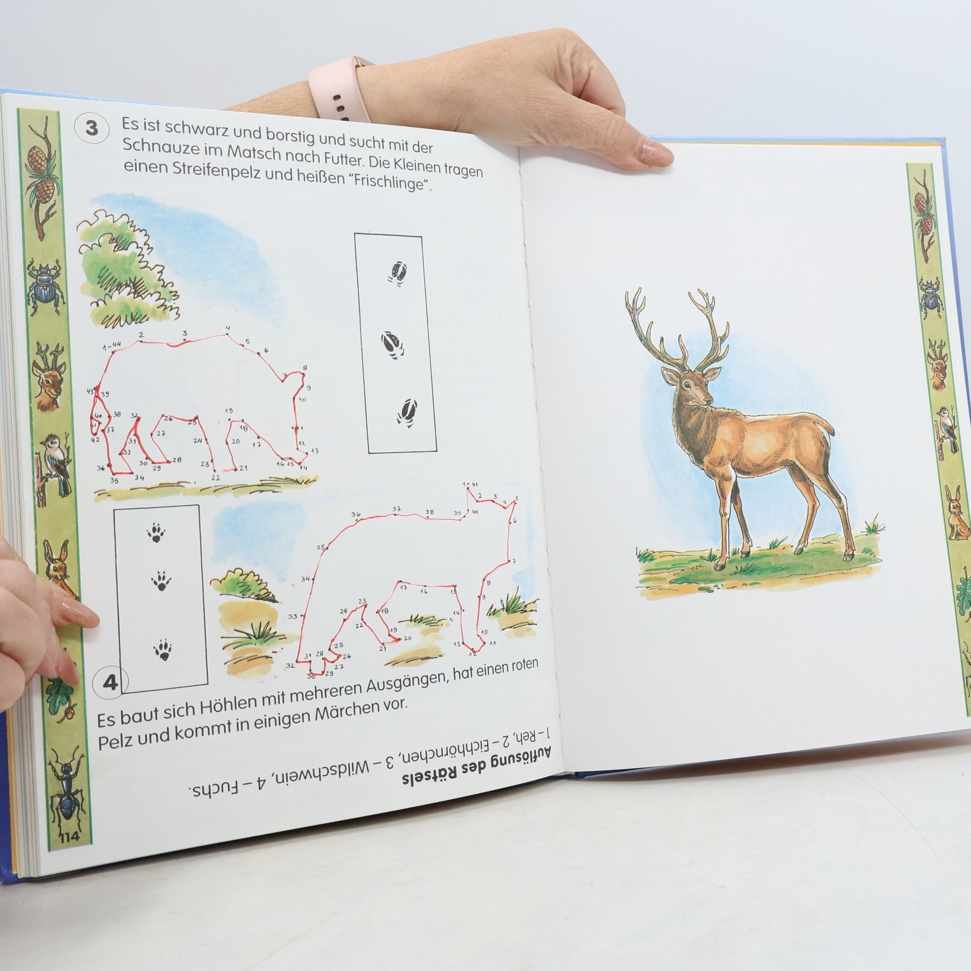 Olaf Hille Mein erstes Buch zum Spielen und Lernen