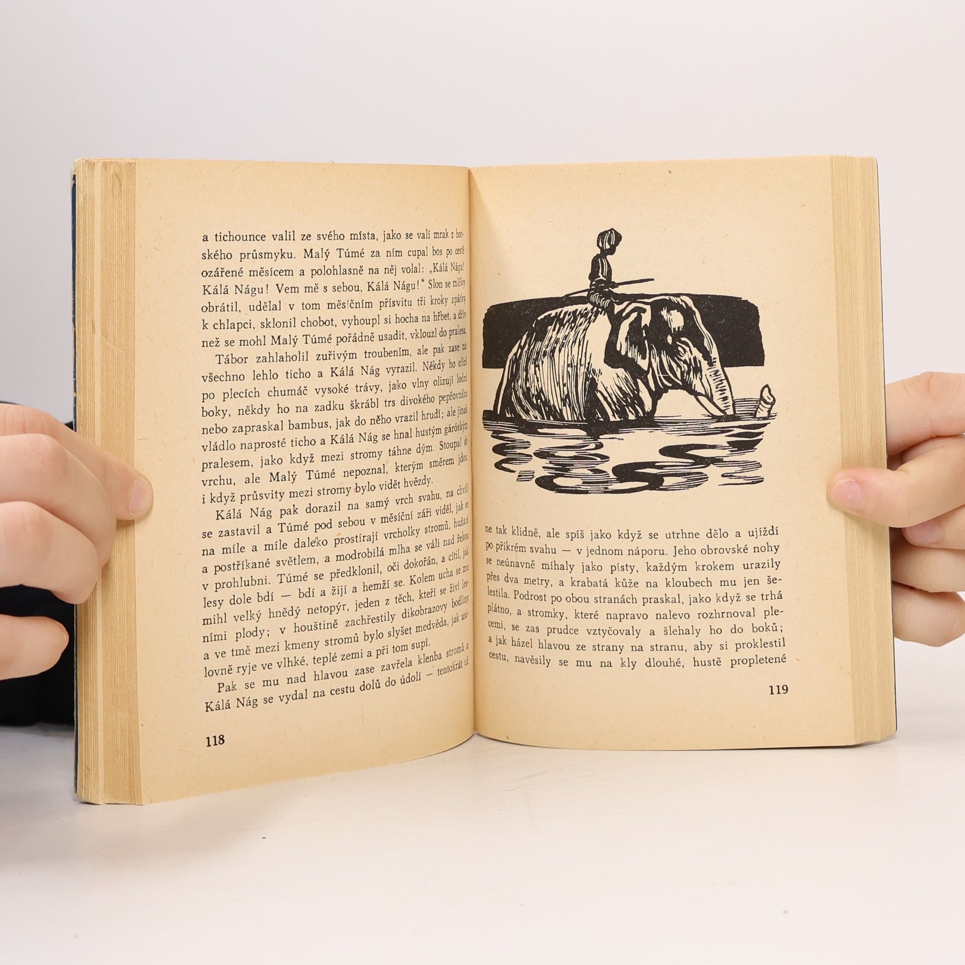 Rudyard Kipling Rikki-tikki-tavi a jiné povídky o zvířatech