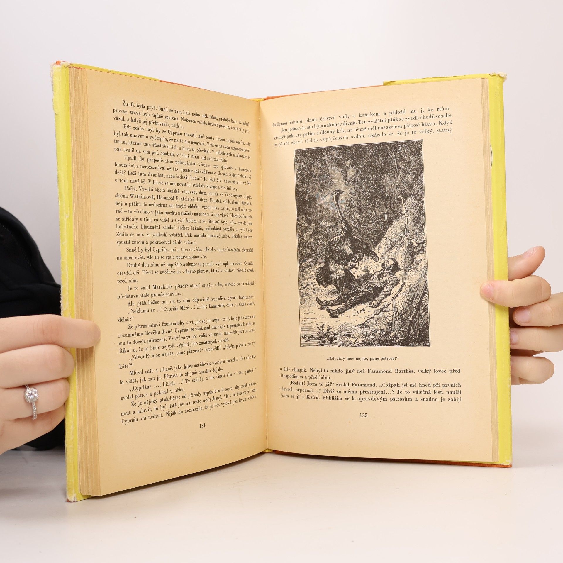 Jules Verne Hvězda jihu