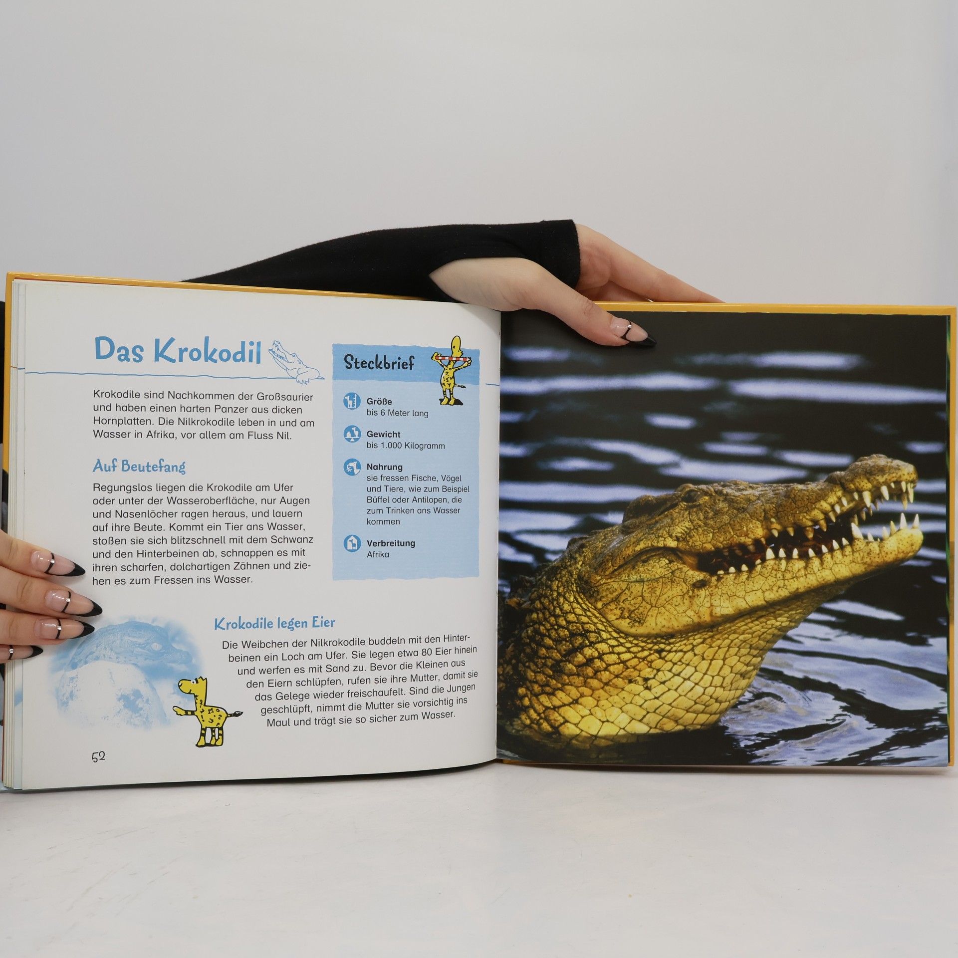 Antje Kleinelümern-Depping Bertelsmann Mein erstes Bildlexikon der Tiere