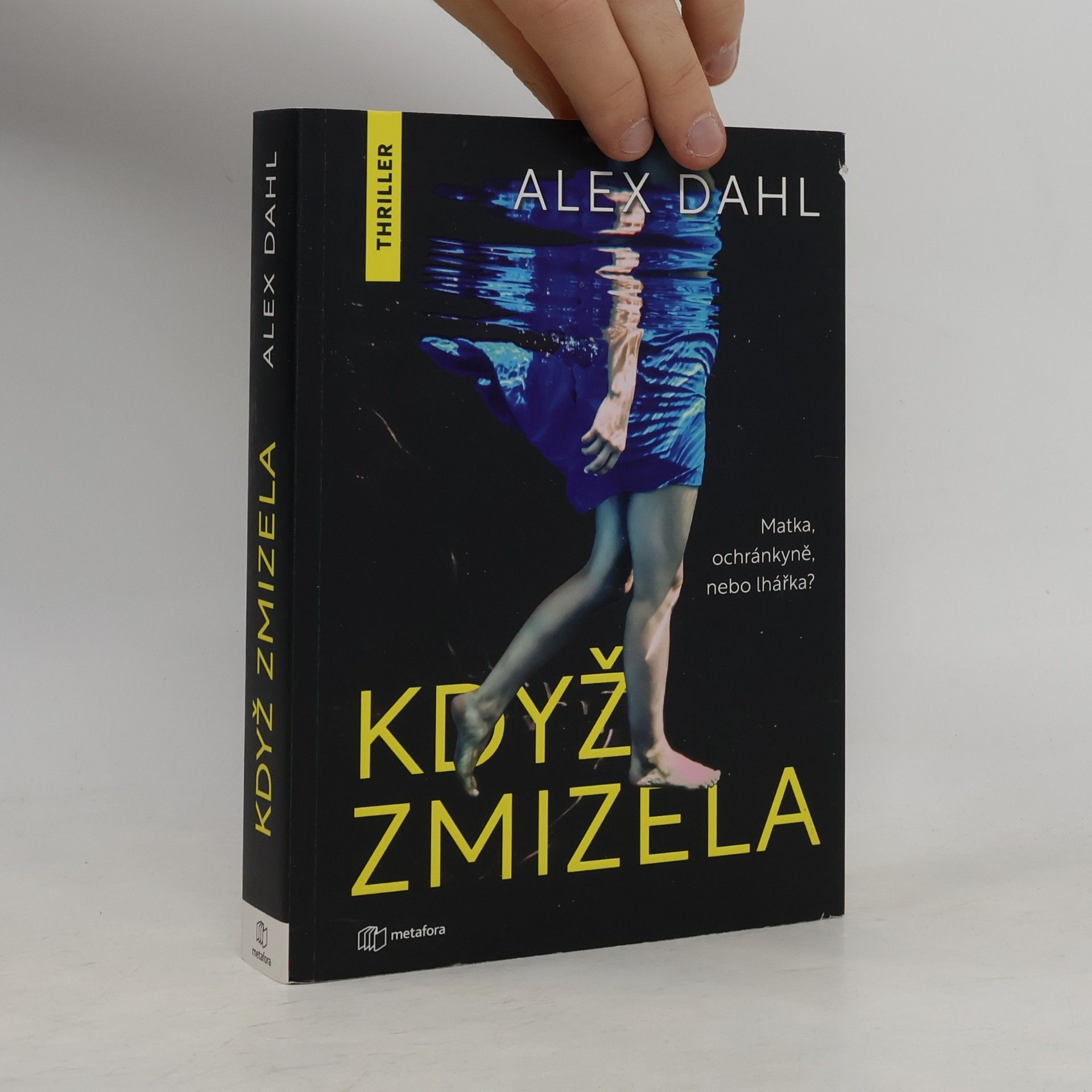 Alex Dahl Když zmizela