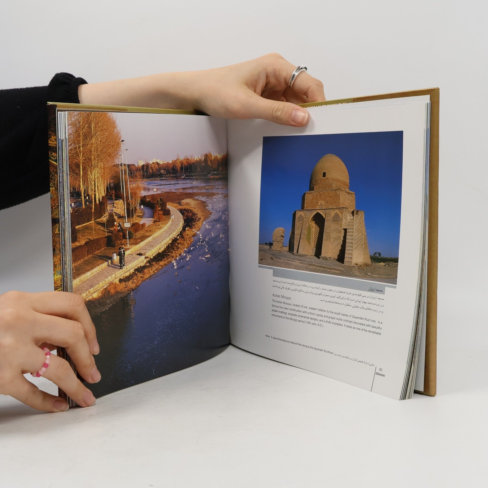 Dāvūd Vakīlʹzādah Isfahan