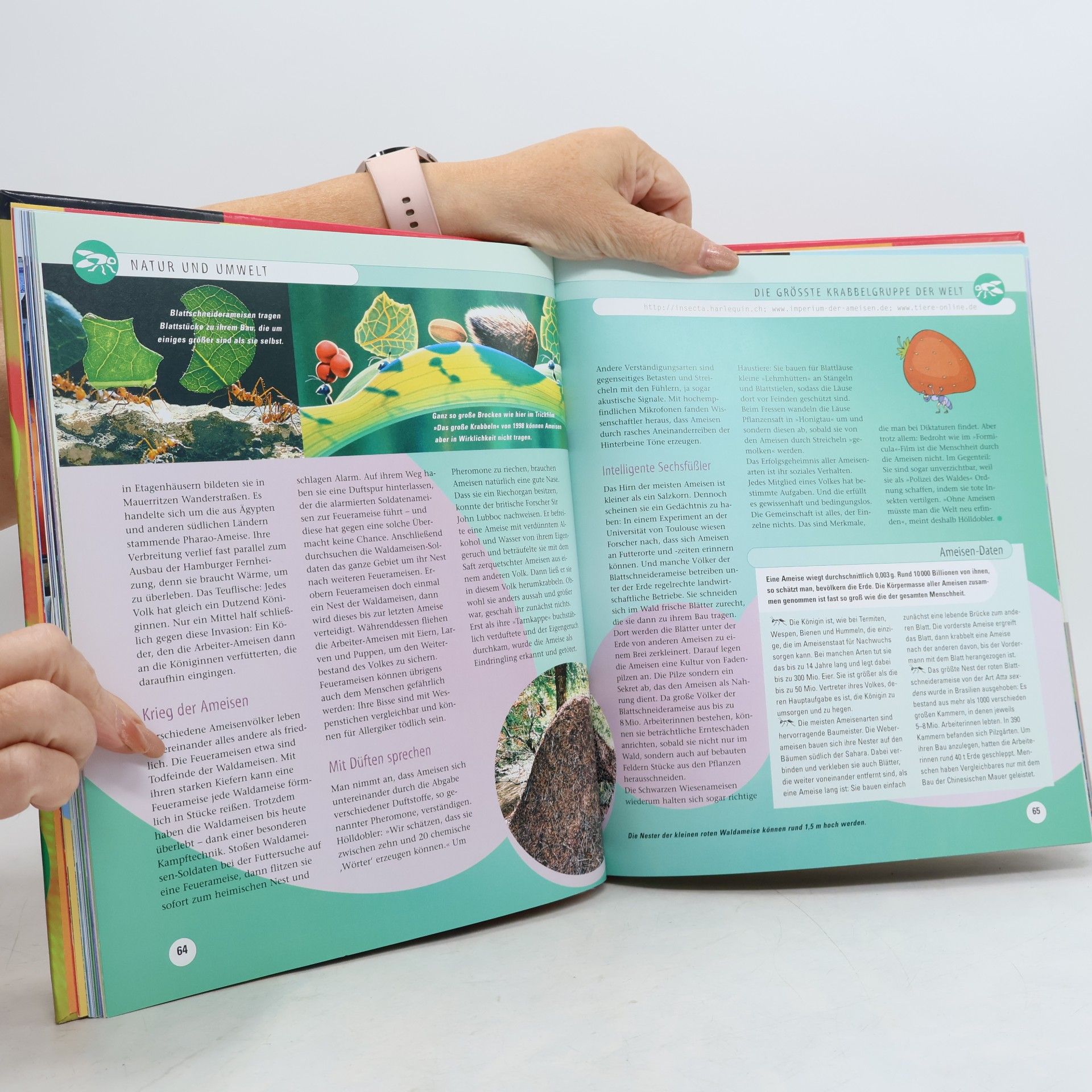 Autorenkollektiv Reader's Digest Jugendbuch