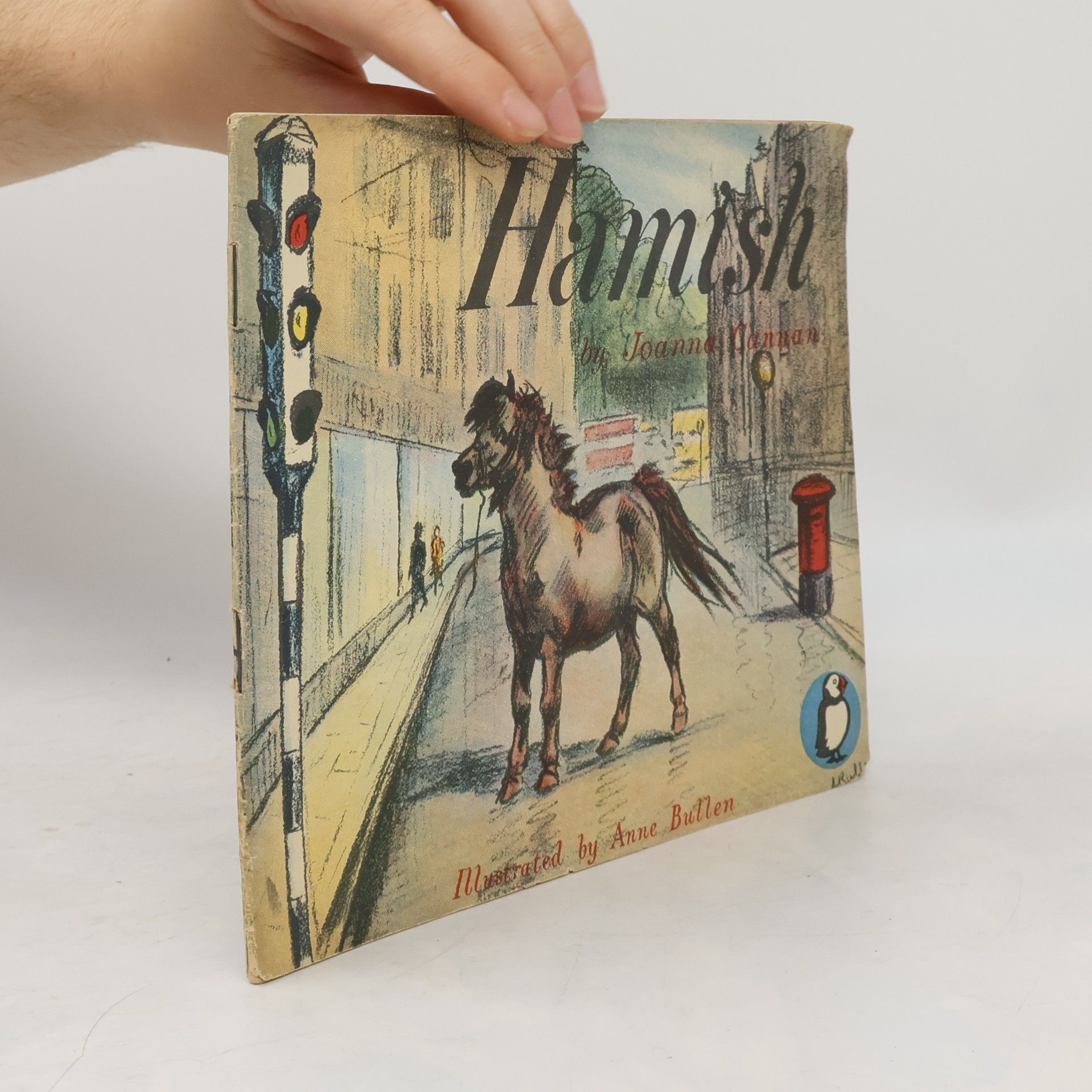 Anne Bullen Hamish
