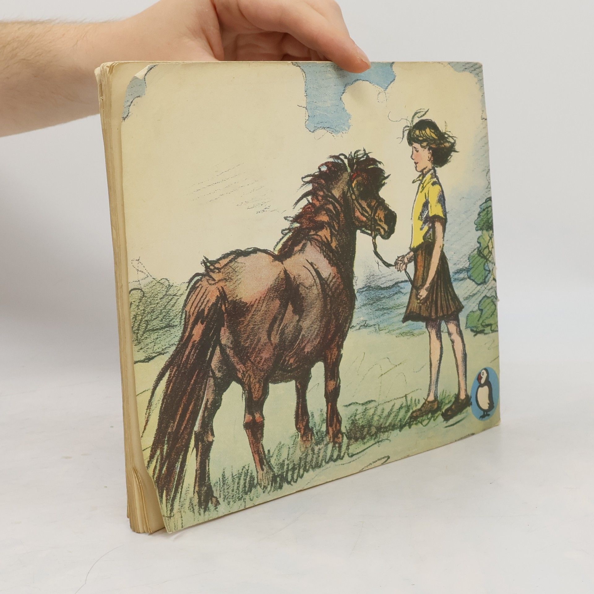 Joanna Cannan Hamish