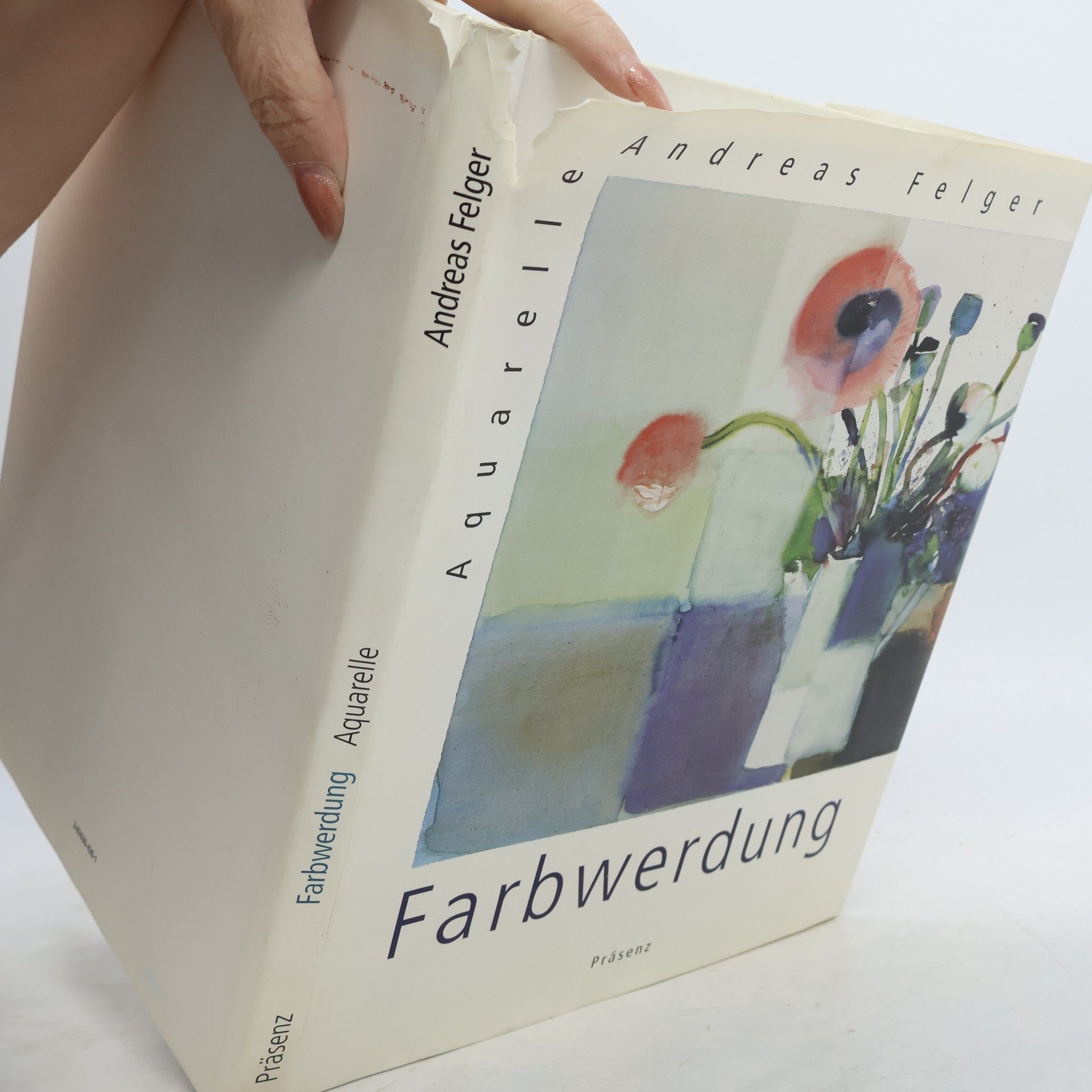 Andreas Felger Farbwerdung