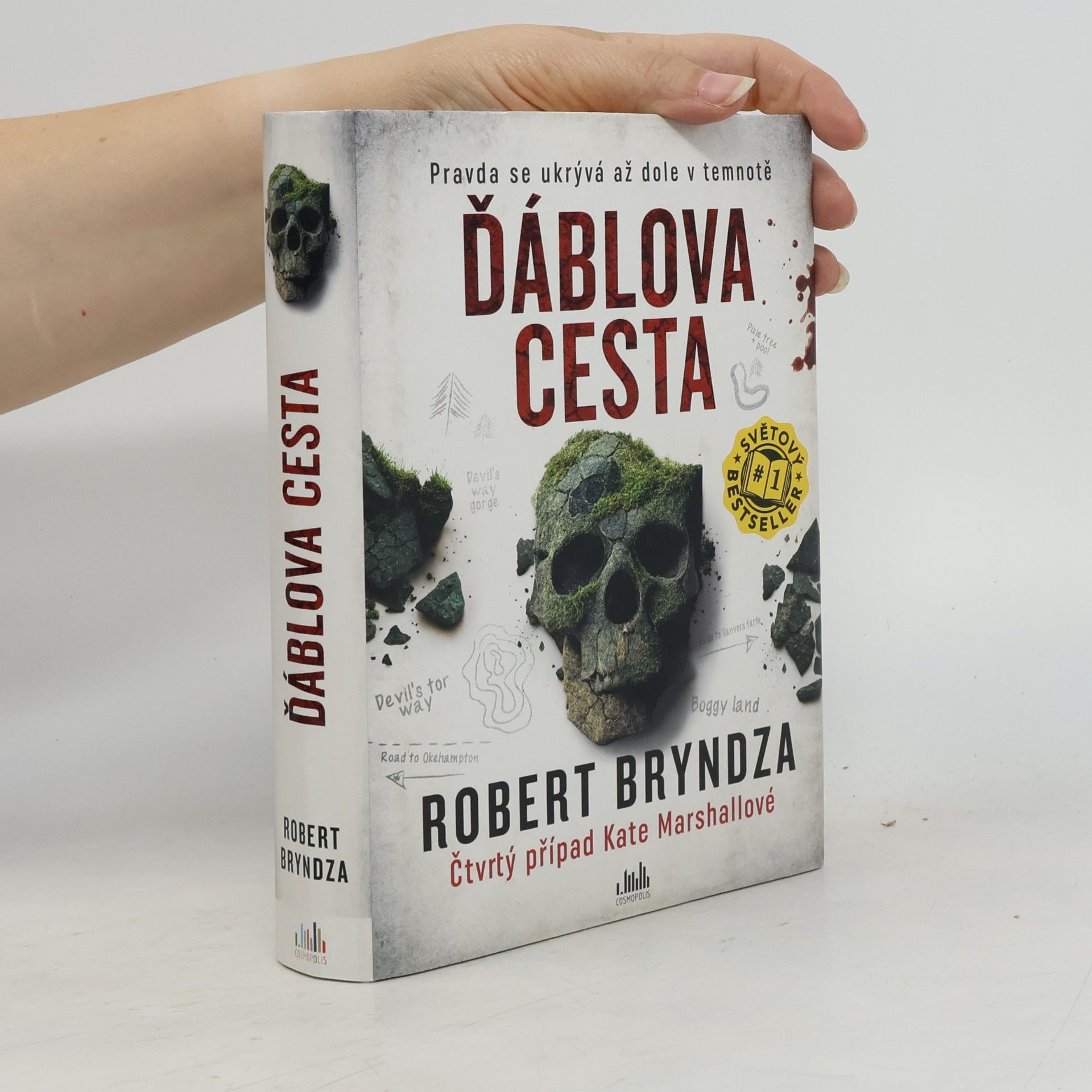 Robert Bryndza Ďáblova cesta