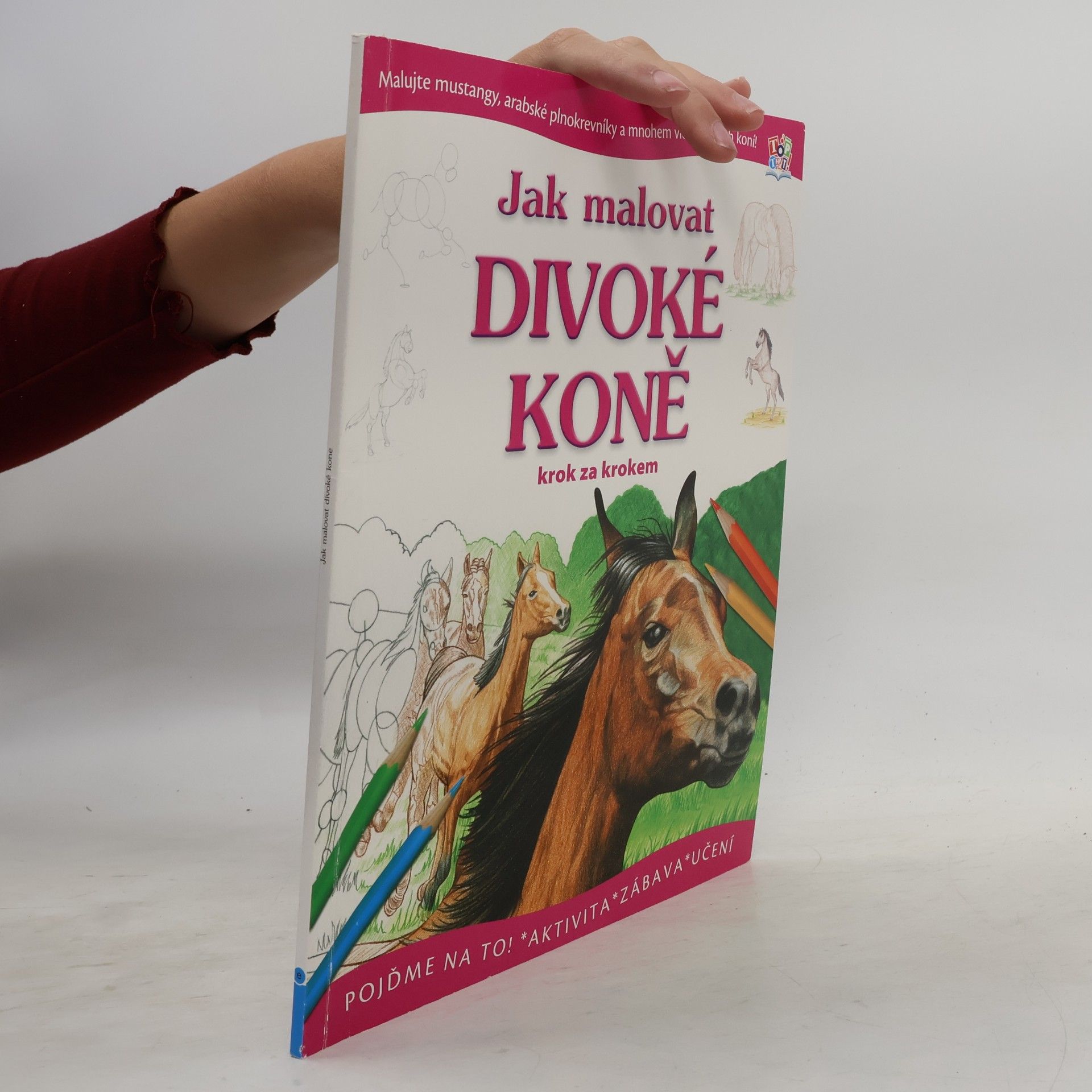 Autorenkollektiv Jak malovat divoké koně krok za krokem