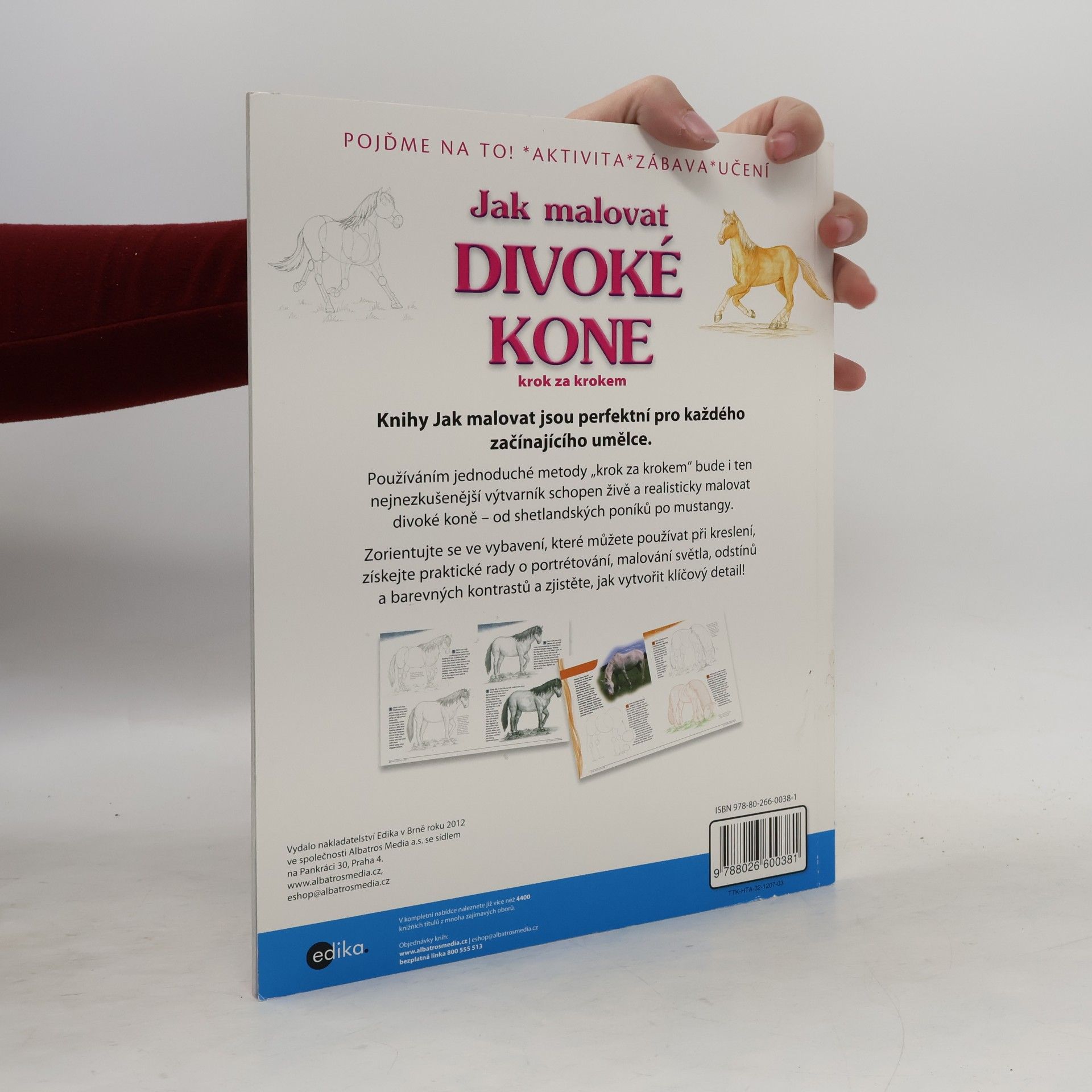 Kolektív autorov Jak malovat divoké koně krok za krokem