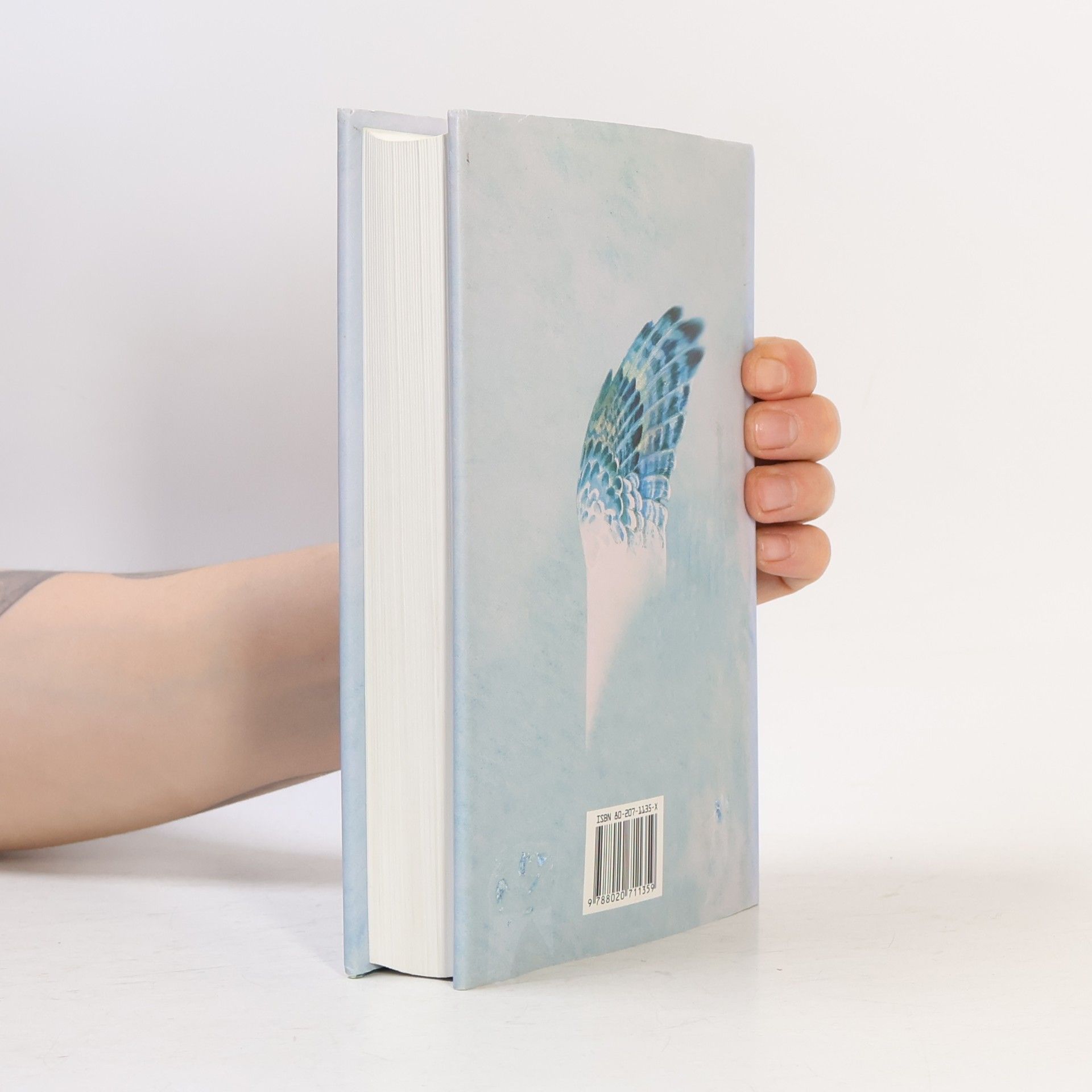 John Irving Svět podle Garpa