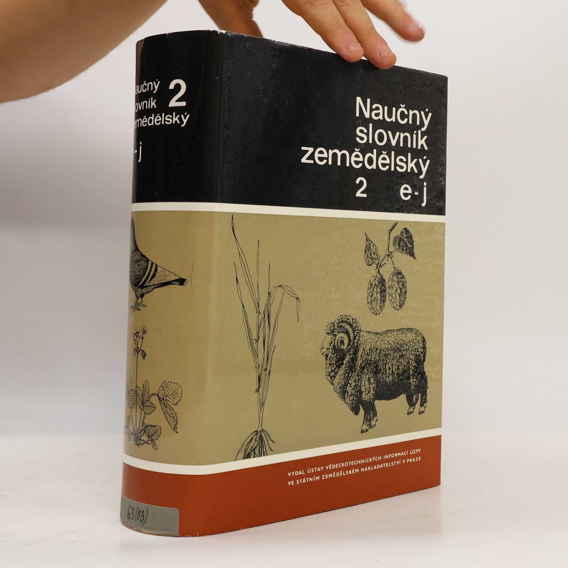 Kolektiv autorů Naučný slovník zemědělský 2. E-J