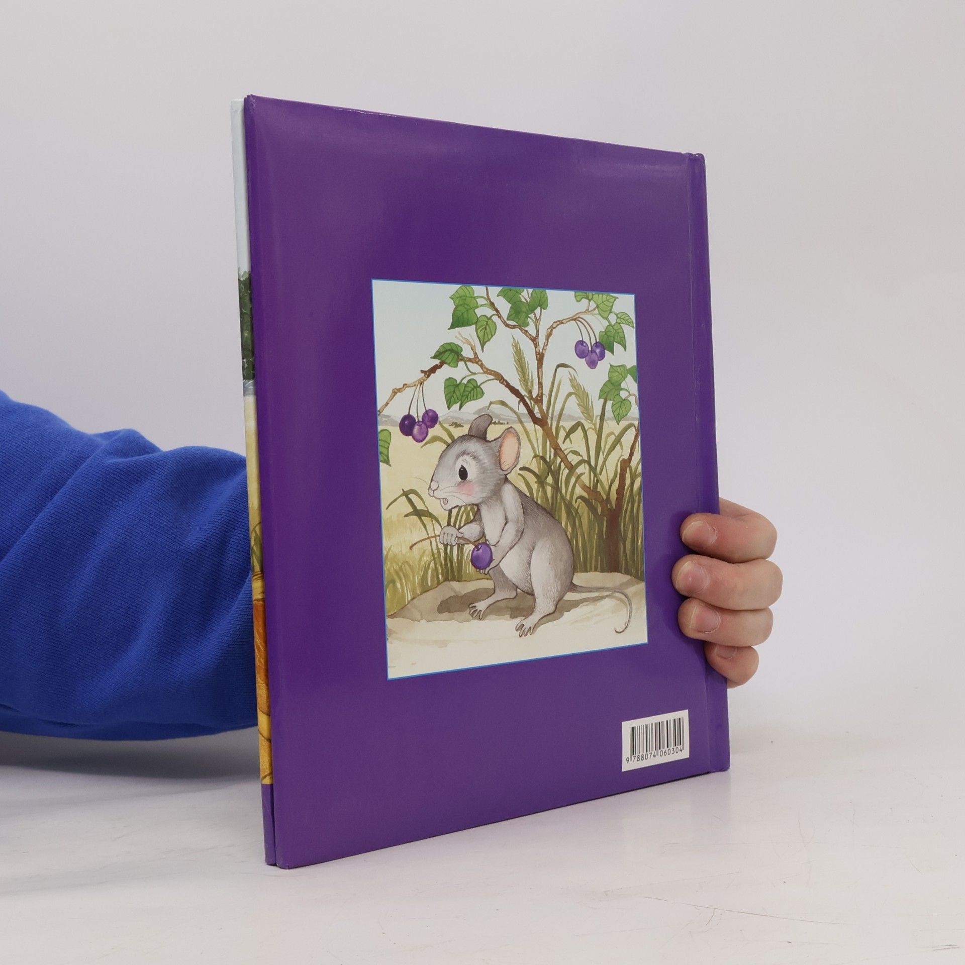 Autorenkollektiv O lvu a myšce. Příběh o pomoci druhým