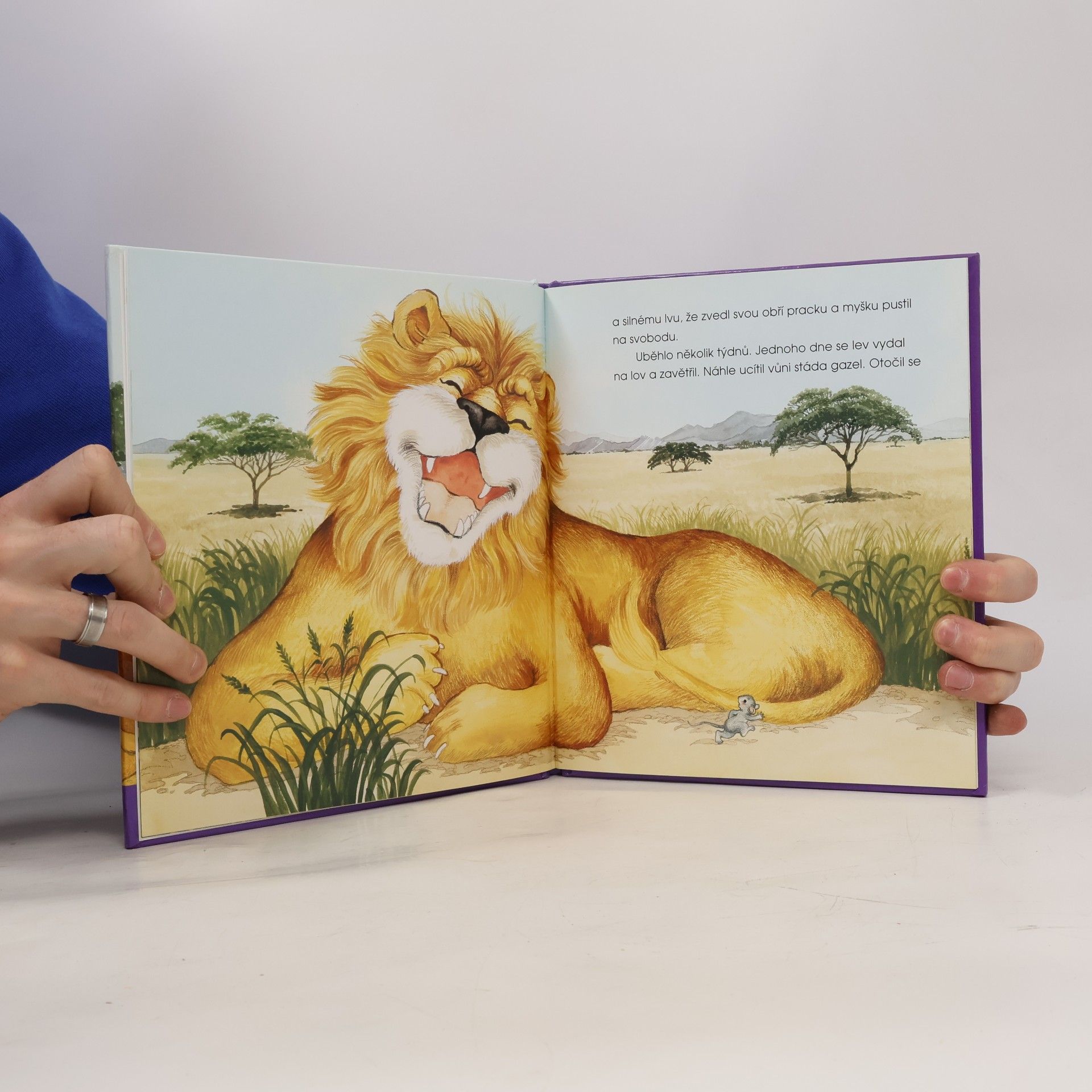 Autorenkollektiv O lvu a myšce. Příběh o pomoci druhým