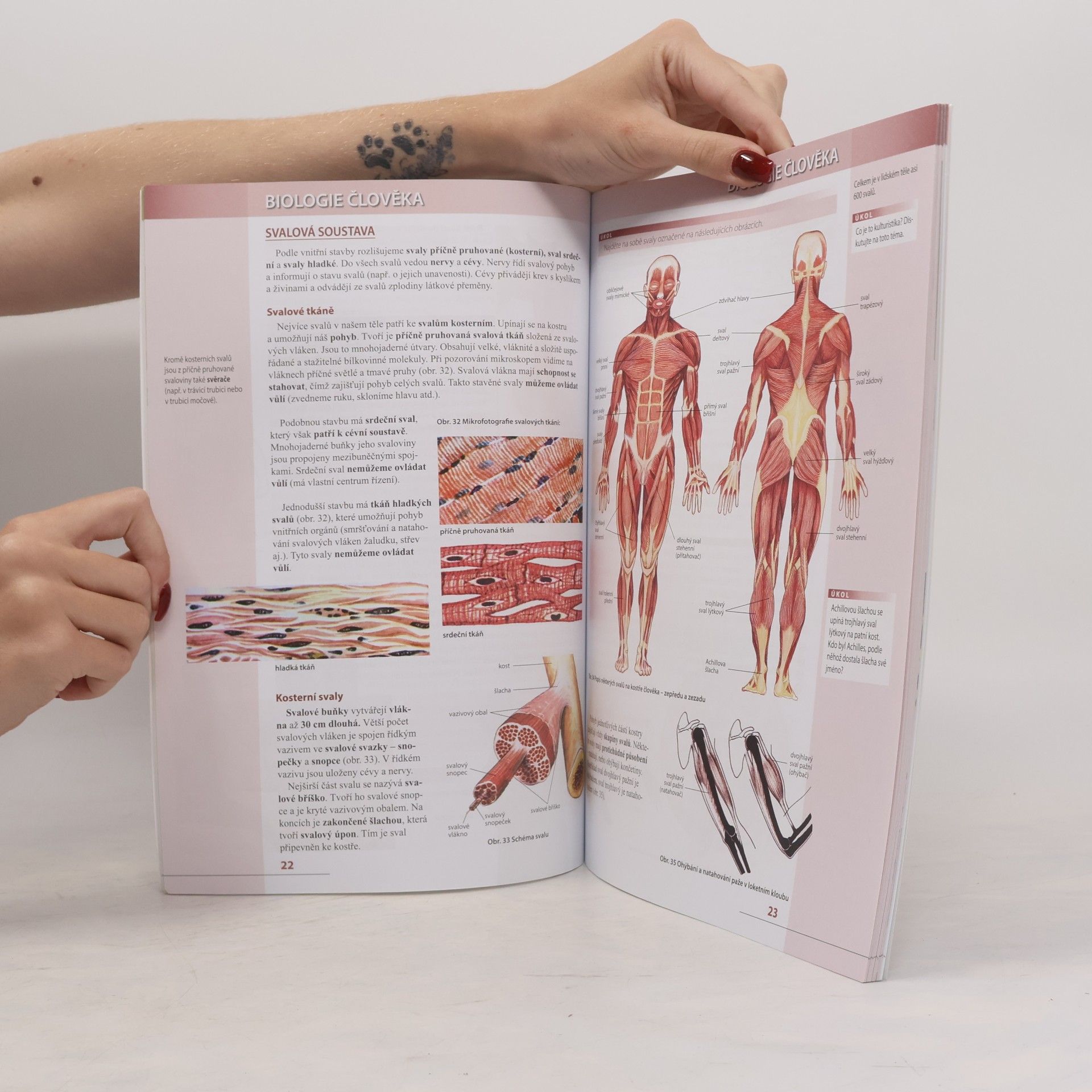 Zdeněk Martinec Přírodopis 8. Biologie člověka pro základní školy