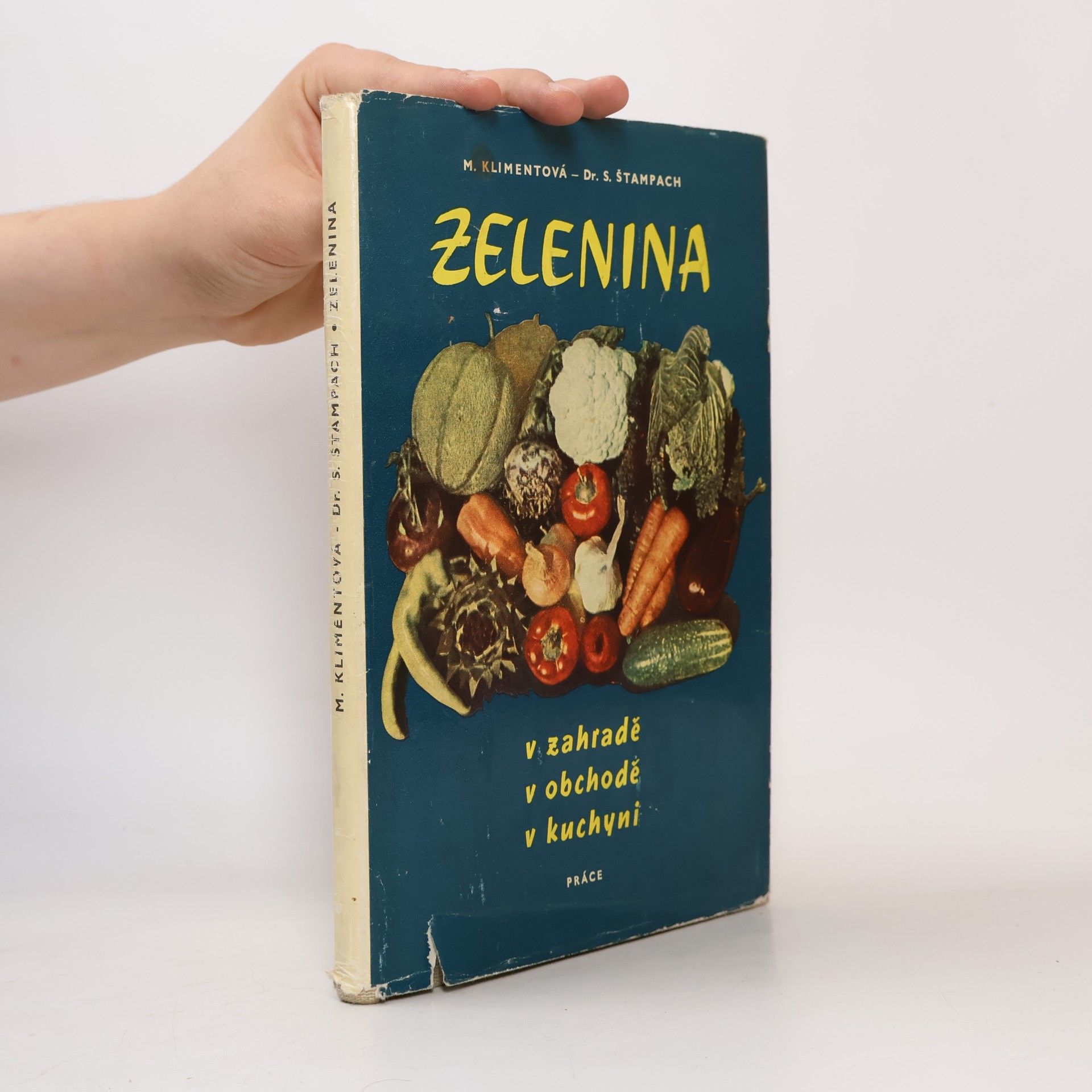S. Štampach Zelenina v zahradě, v obchodě, v kuchyni