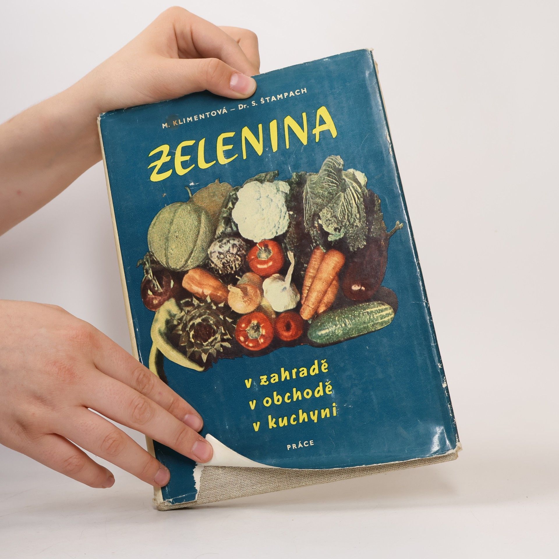 M. Klimentová Zelenina v zahradě, v obchodě, v kuchyni