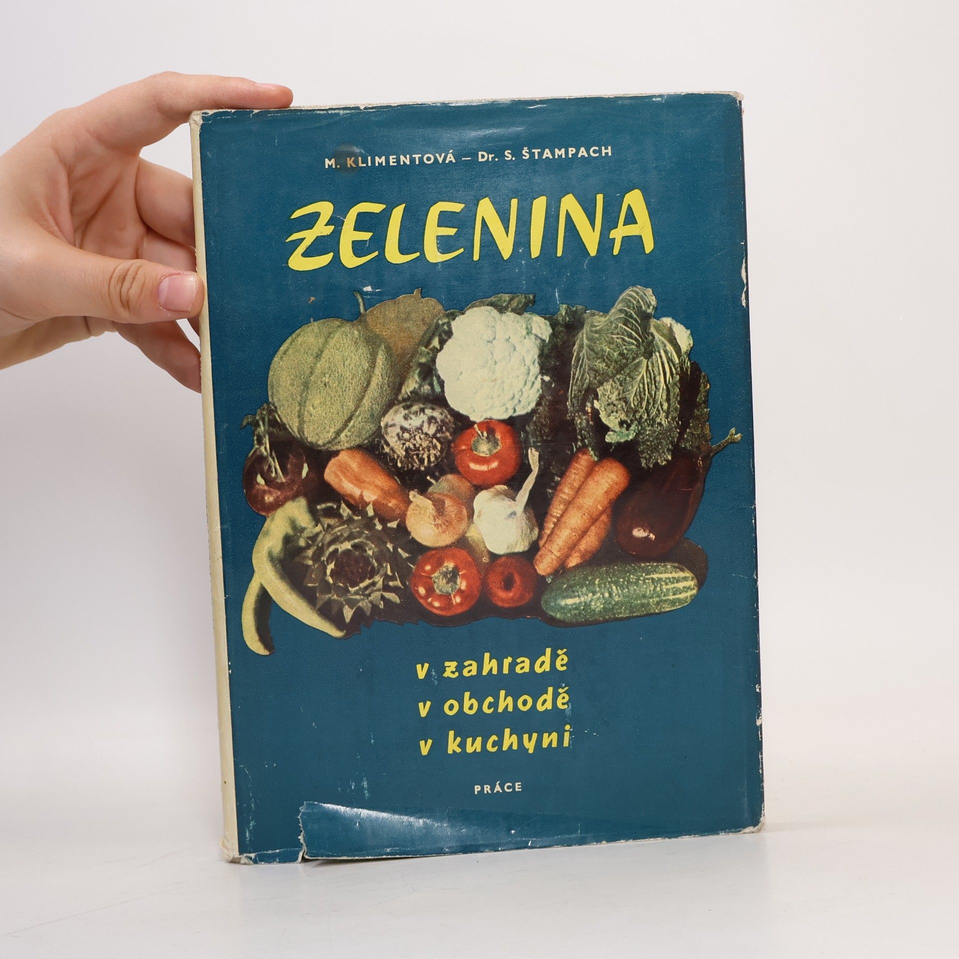 M. Klimentová Zelenina v zahradě, v obchodě, v kuchyni