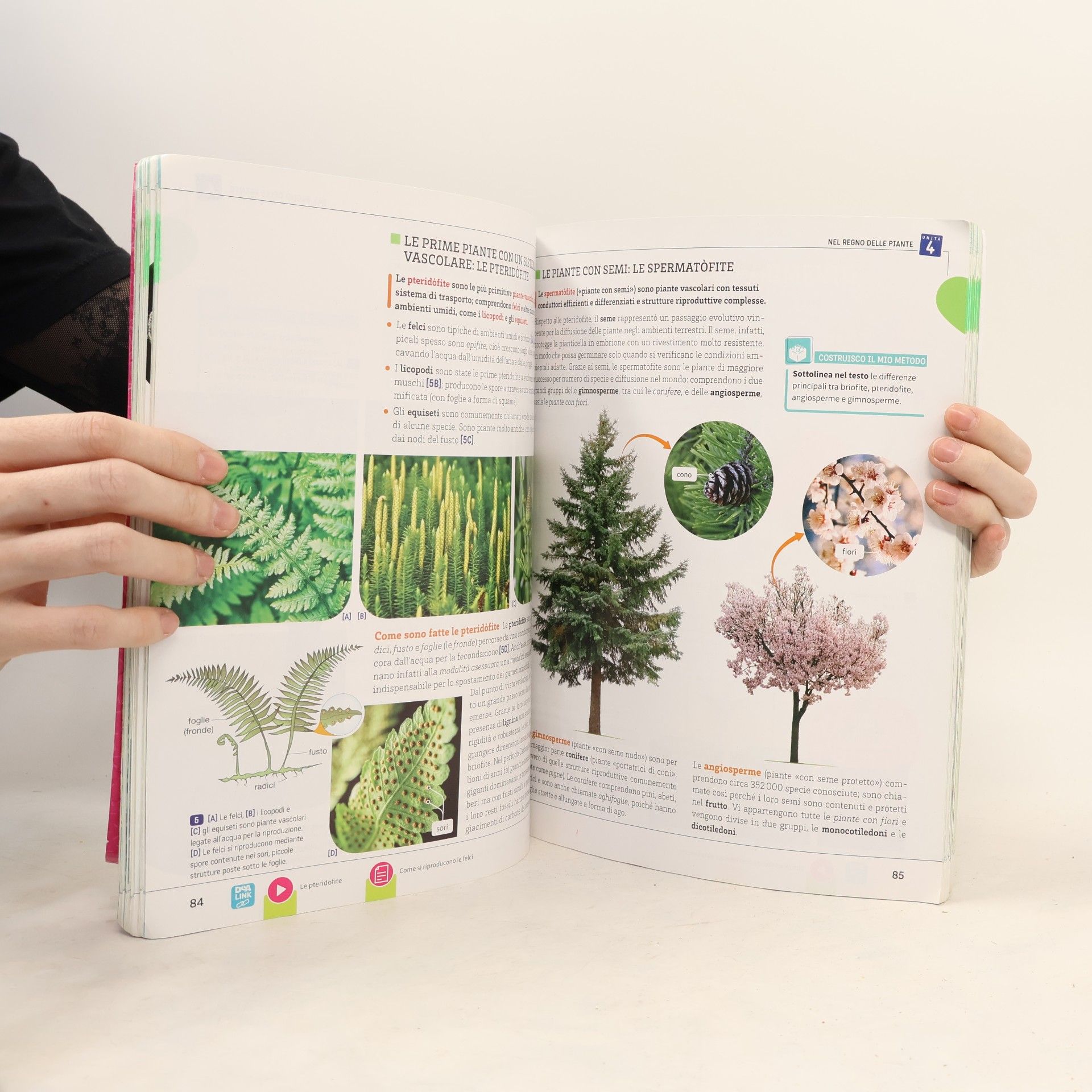Luigi Leonardi Viventi e ambiente - B: Be Curious!