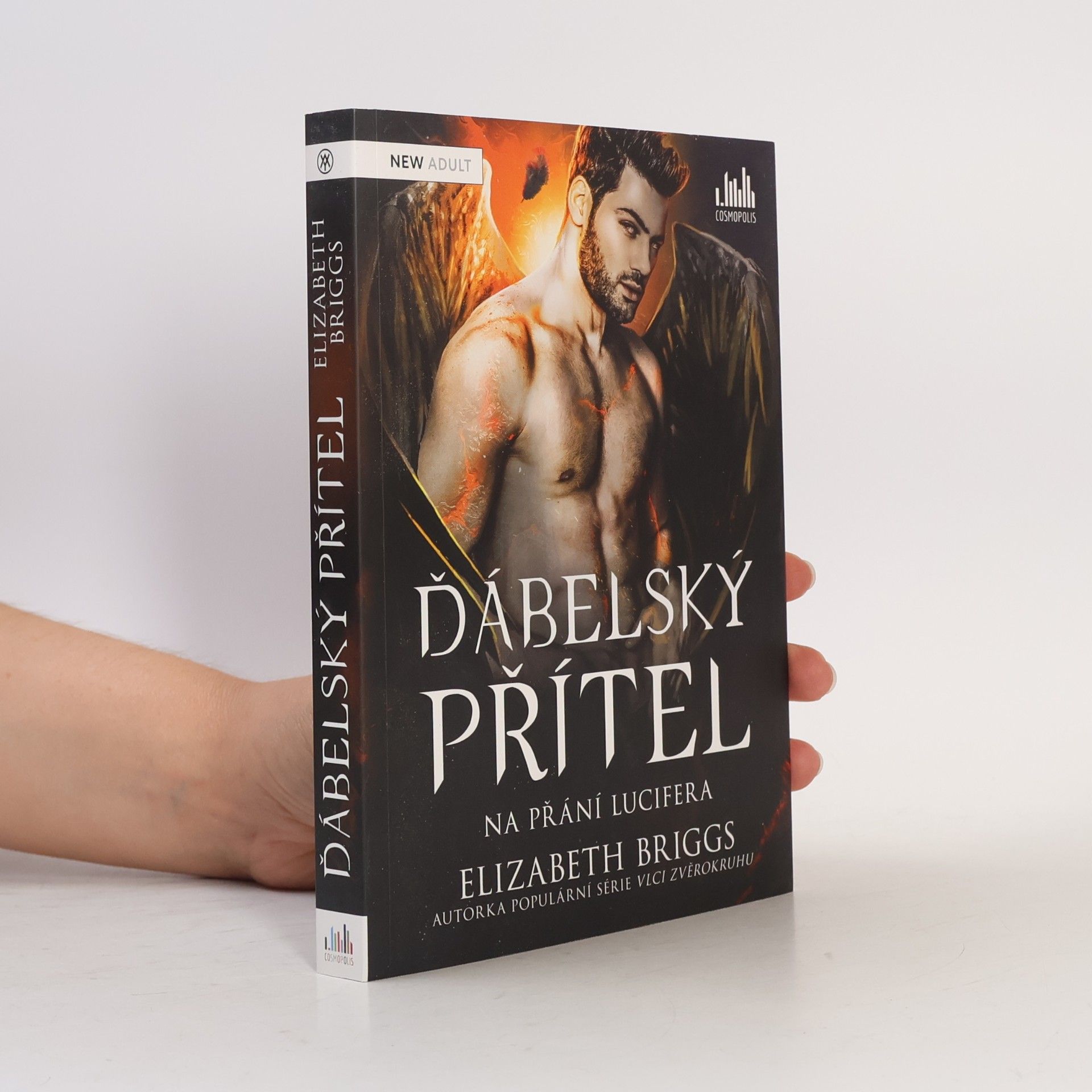Elizabeth Briggs Ďábelský přítel. Na přání Lucifera