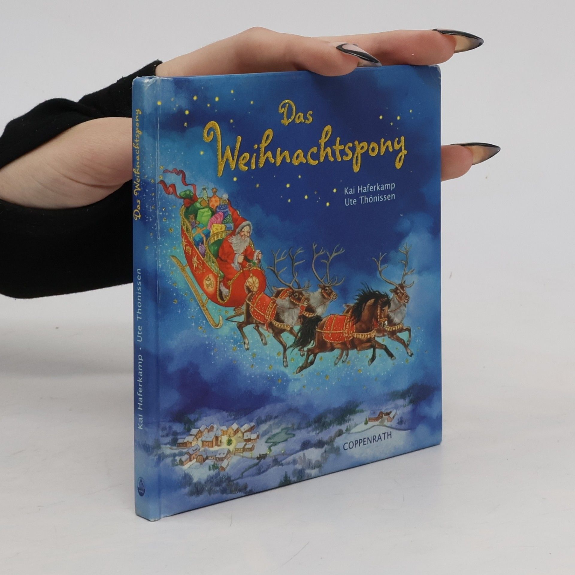 Das Weihnachtspony