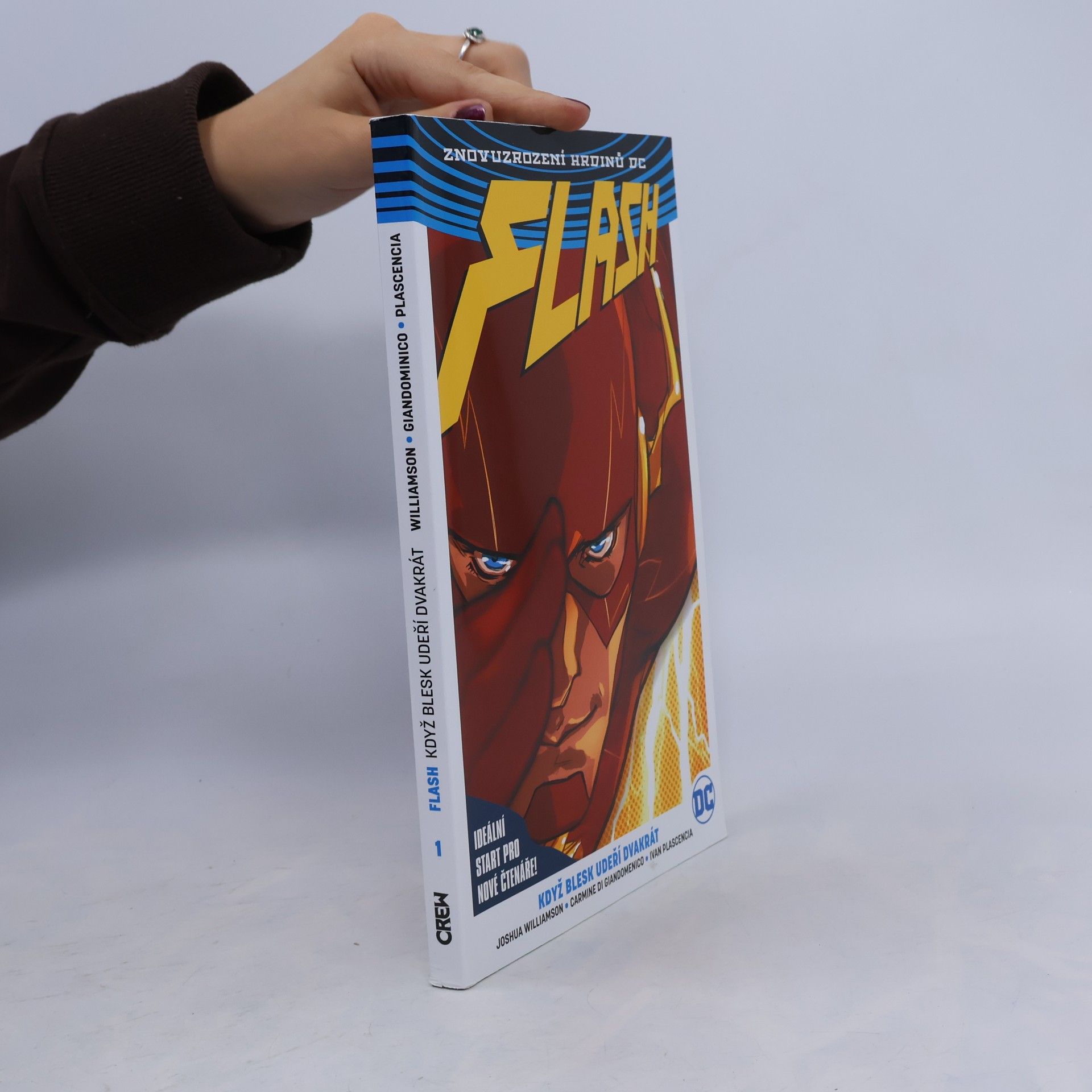 Flash. Kniha první: Když blesk udeří dvakrát