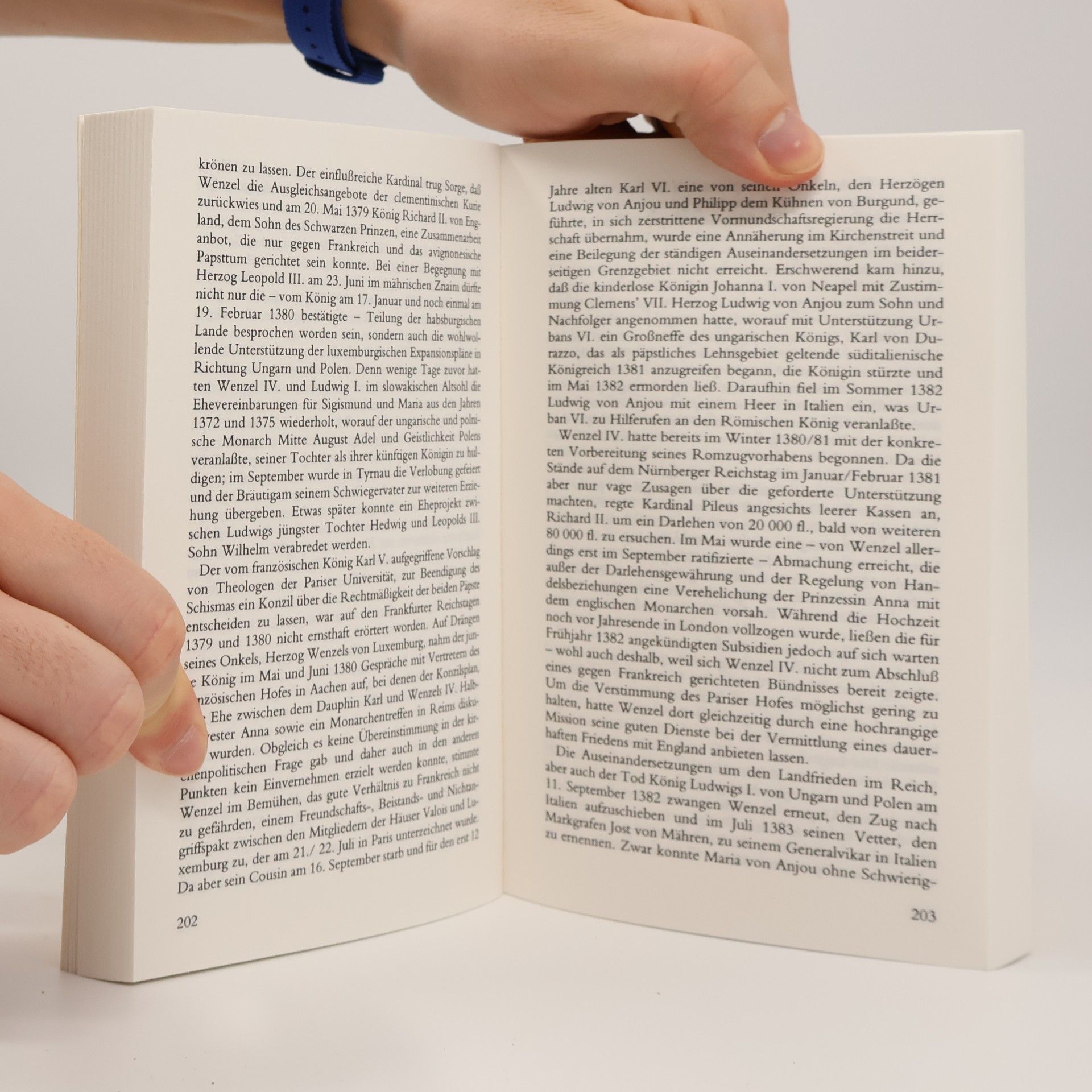 Jörg K. Hoensch Urban Taschenbücher - 407: Die Luxemburger