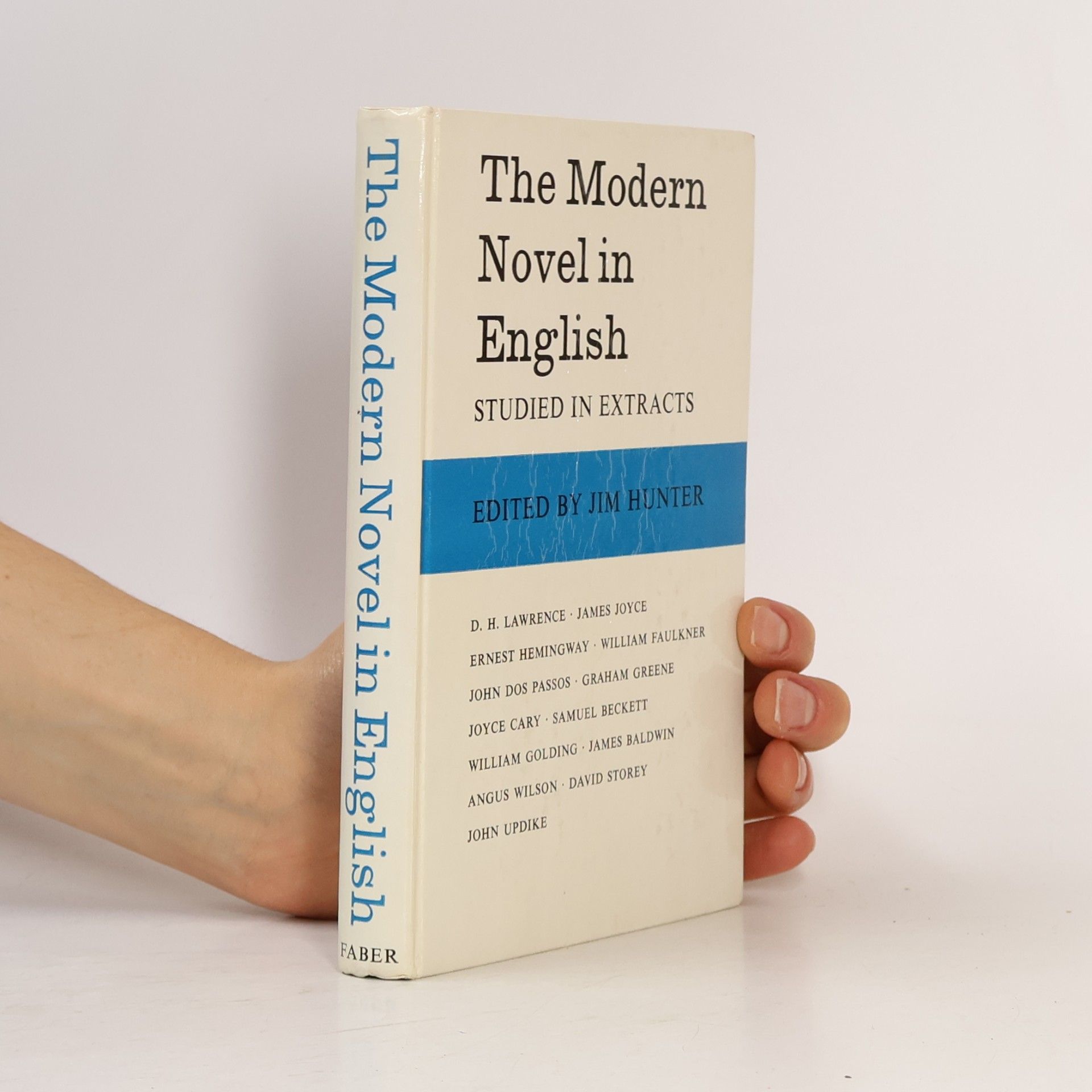 Kolektiv autorů The Modern Novel in English