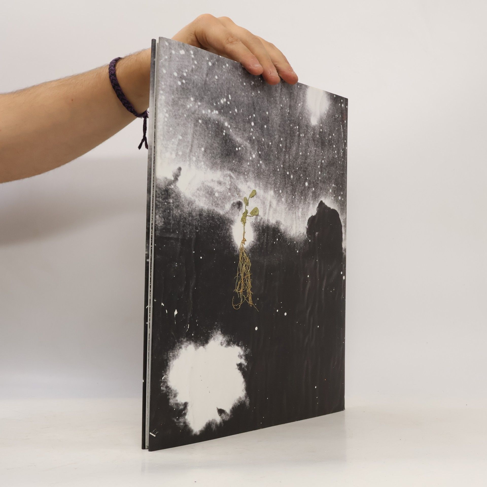 Anselm Kiefer The Secret Life of Plants